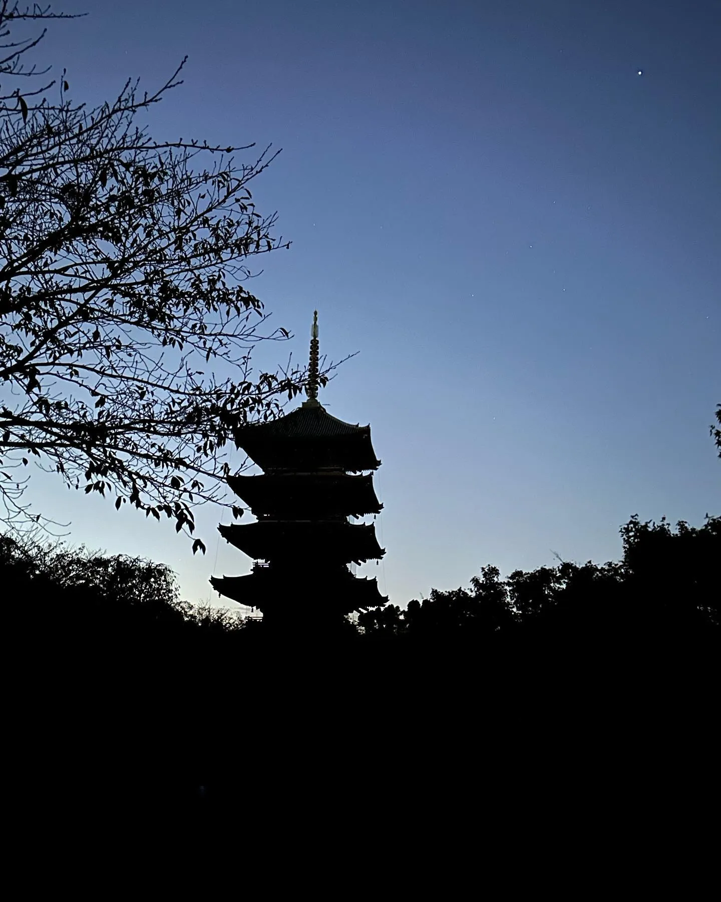 【京都 東寺 弘法市 骨董市】