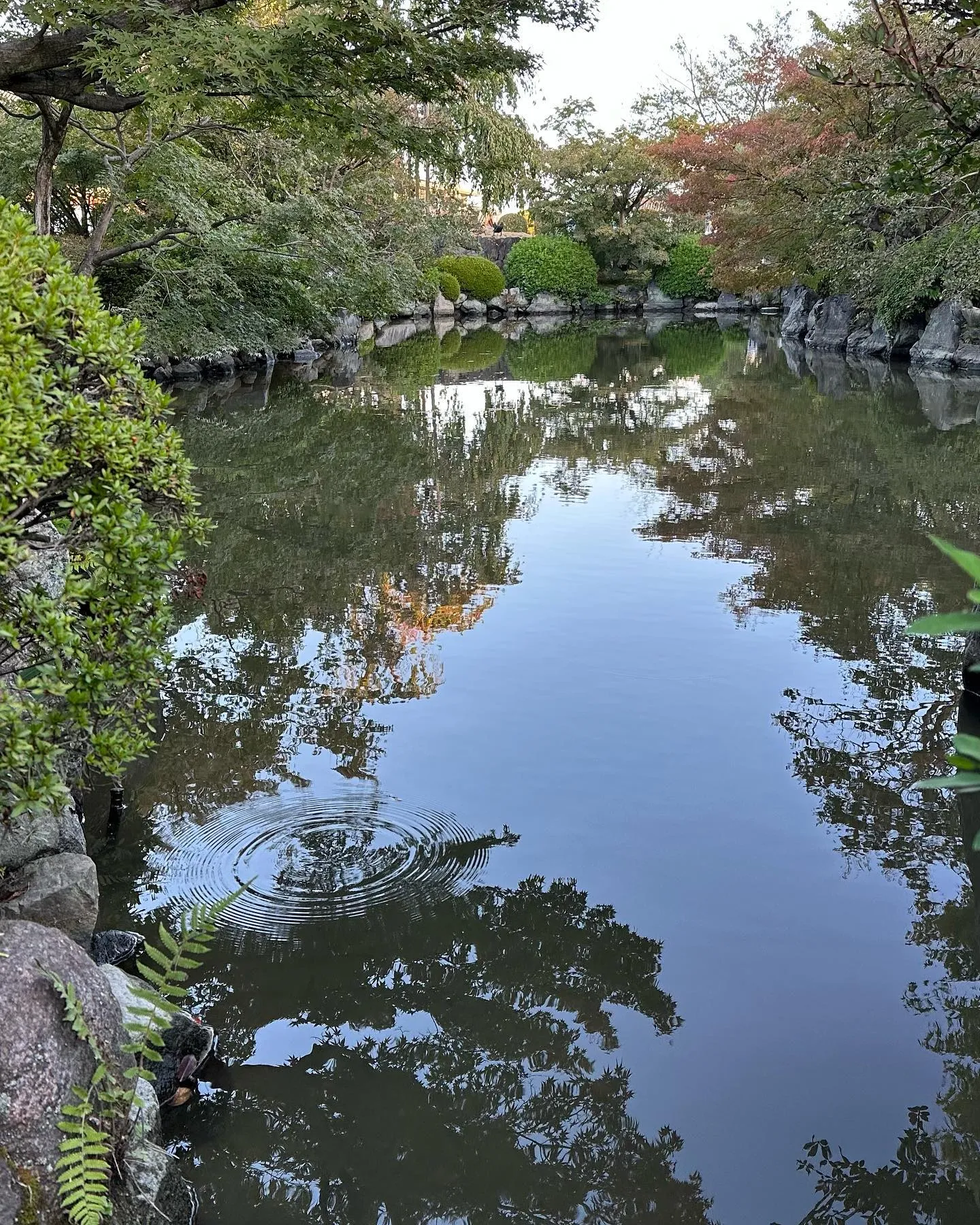 【京都 東寺 弘法市 骨董市】