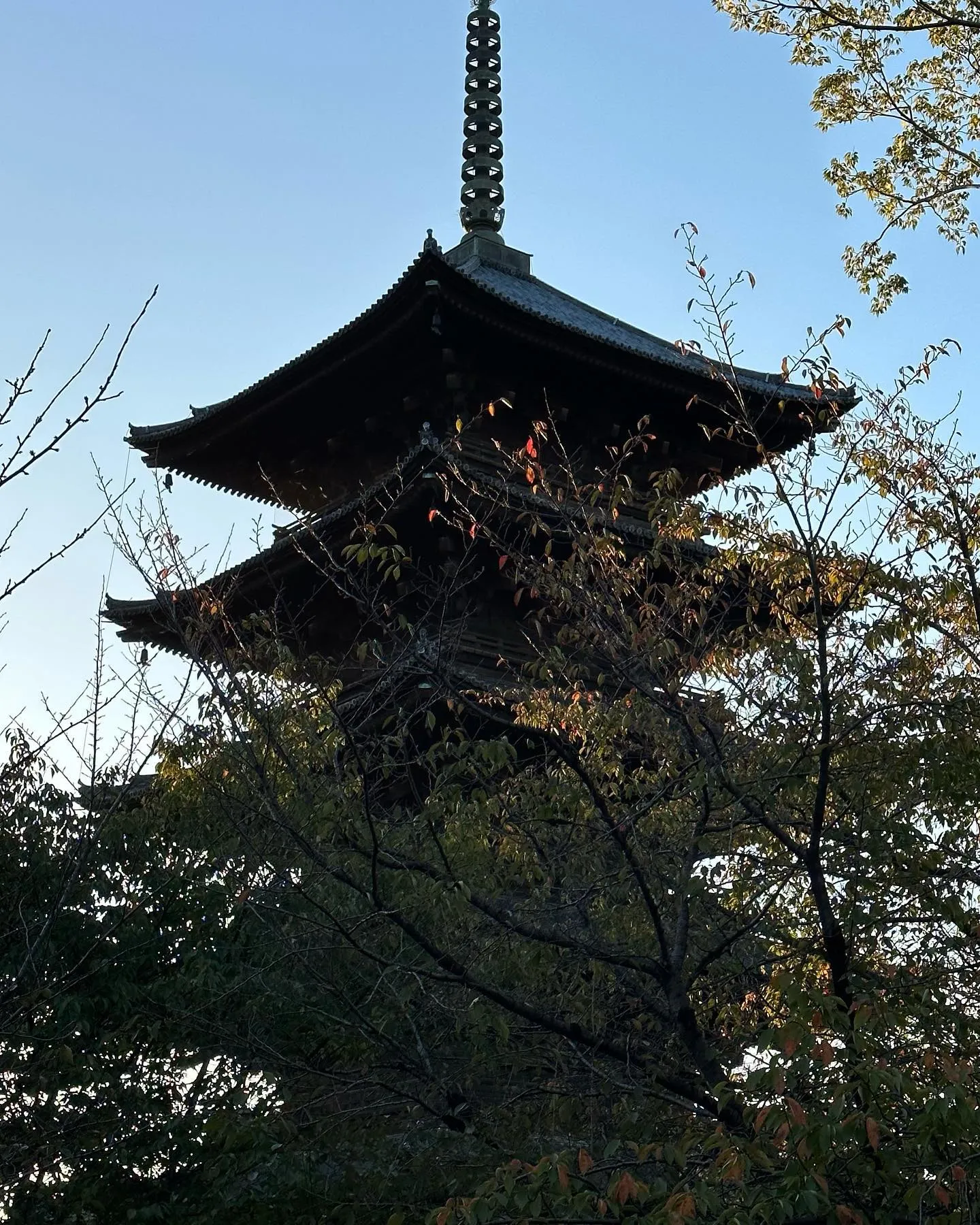 【京都 東寺 弘法市 骨董市】