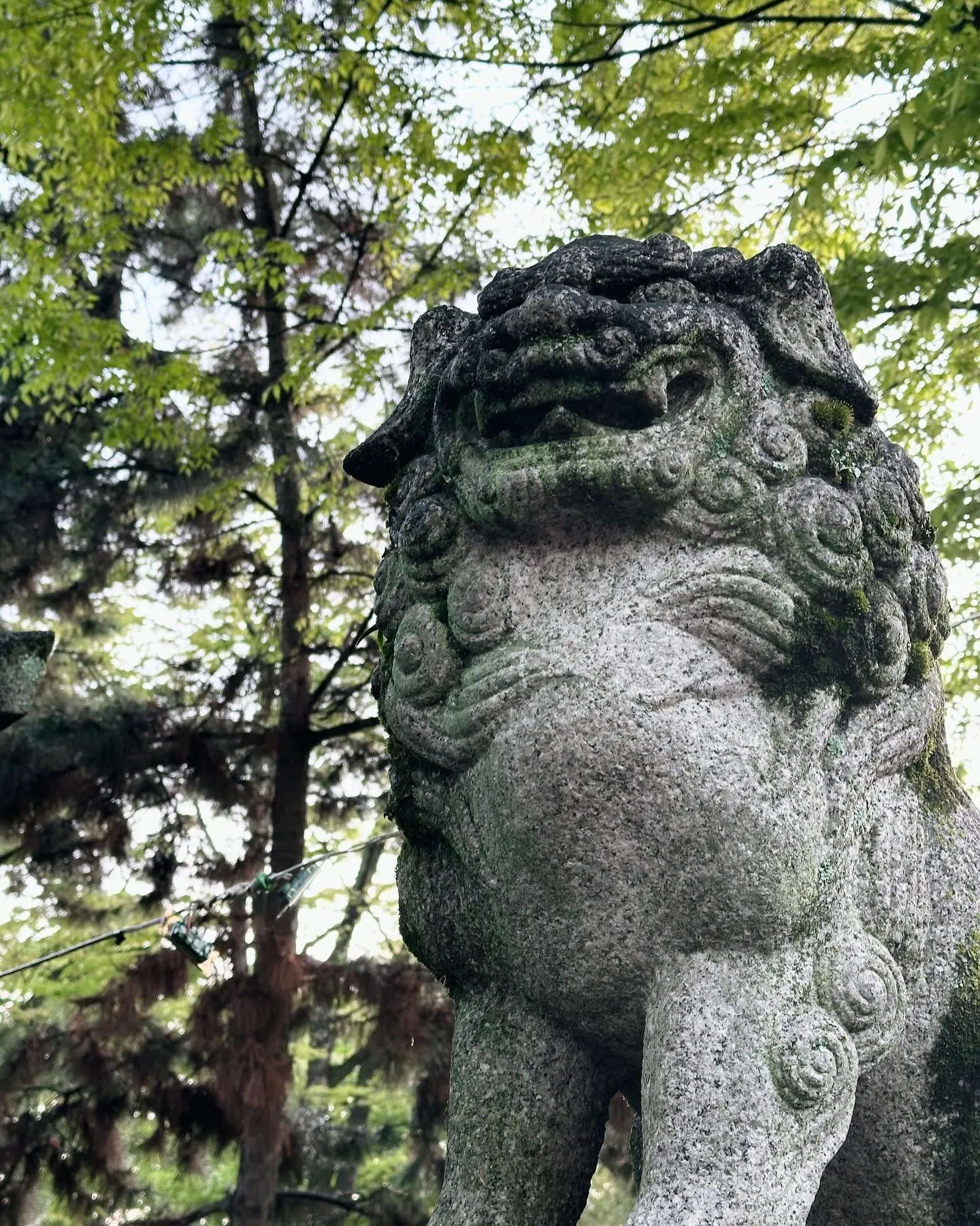 【京都 北野天満宮 天神市 骨董市】