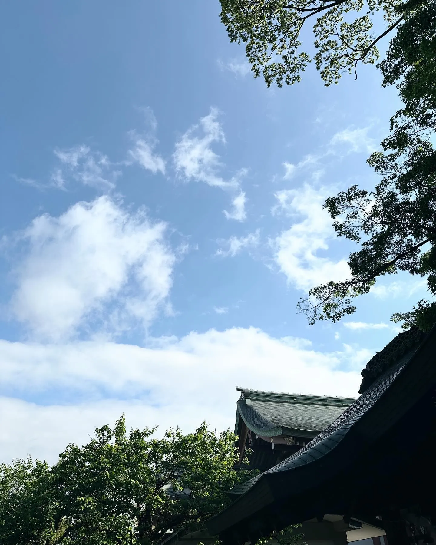 【京都 北野天満宮 天神市 骨董市】