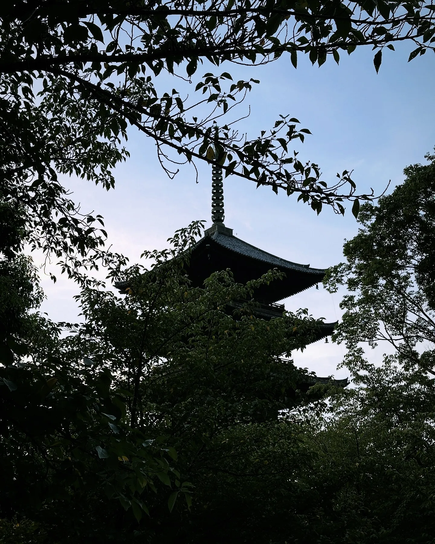 【京都 東寺 弘法市 毎月21日 骨董市 残暑 酷暑】