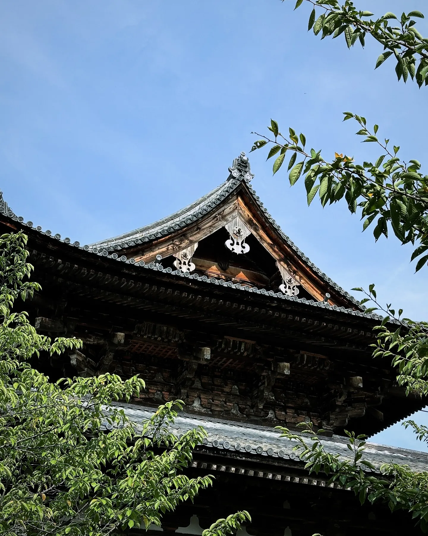 【京都 東寺 弘法市 毎月21日 骨董市 残暑 酷暑】