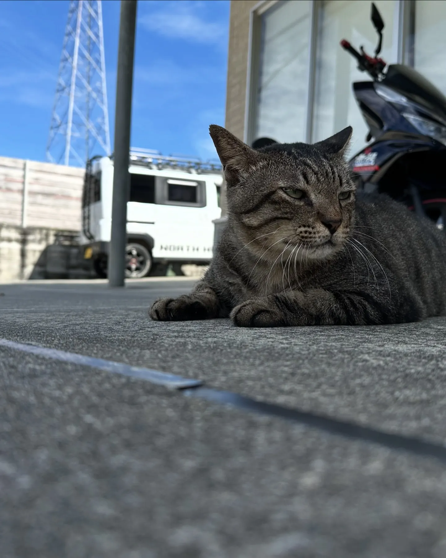 【沖縄 琉球 やちむんの里 最終日】