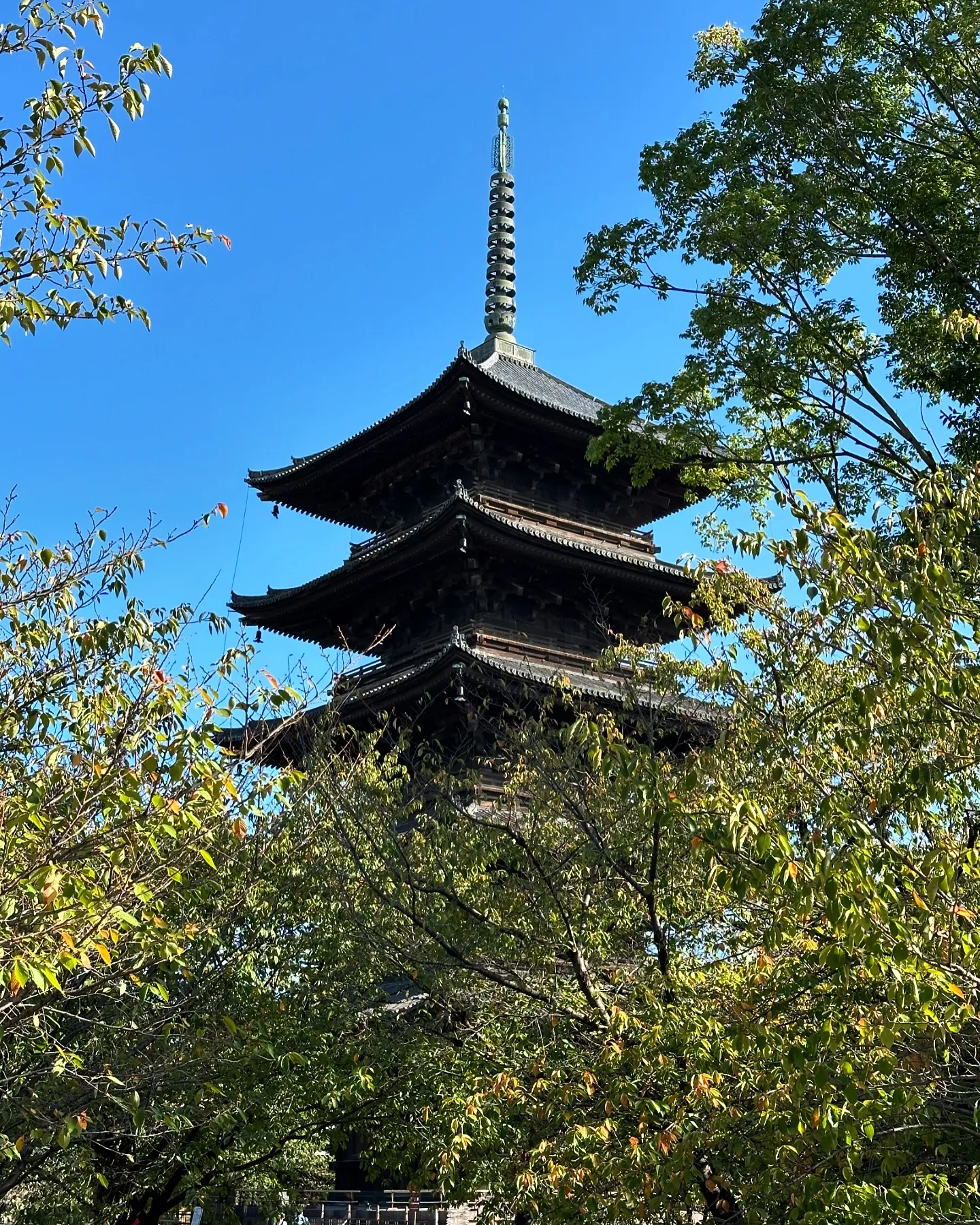 【京都 東寺 弘法市 骨董市】