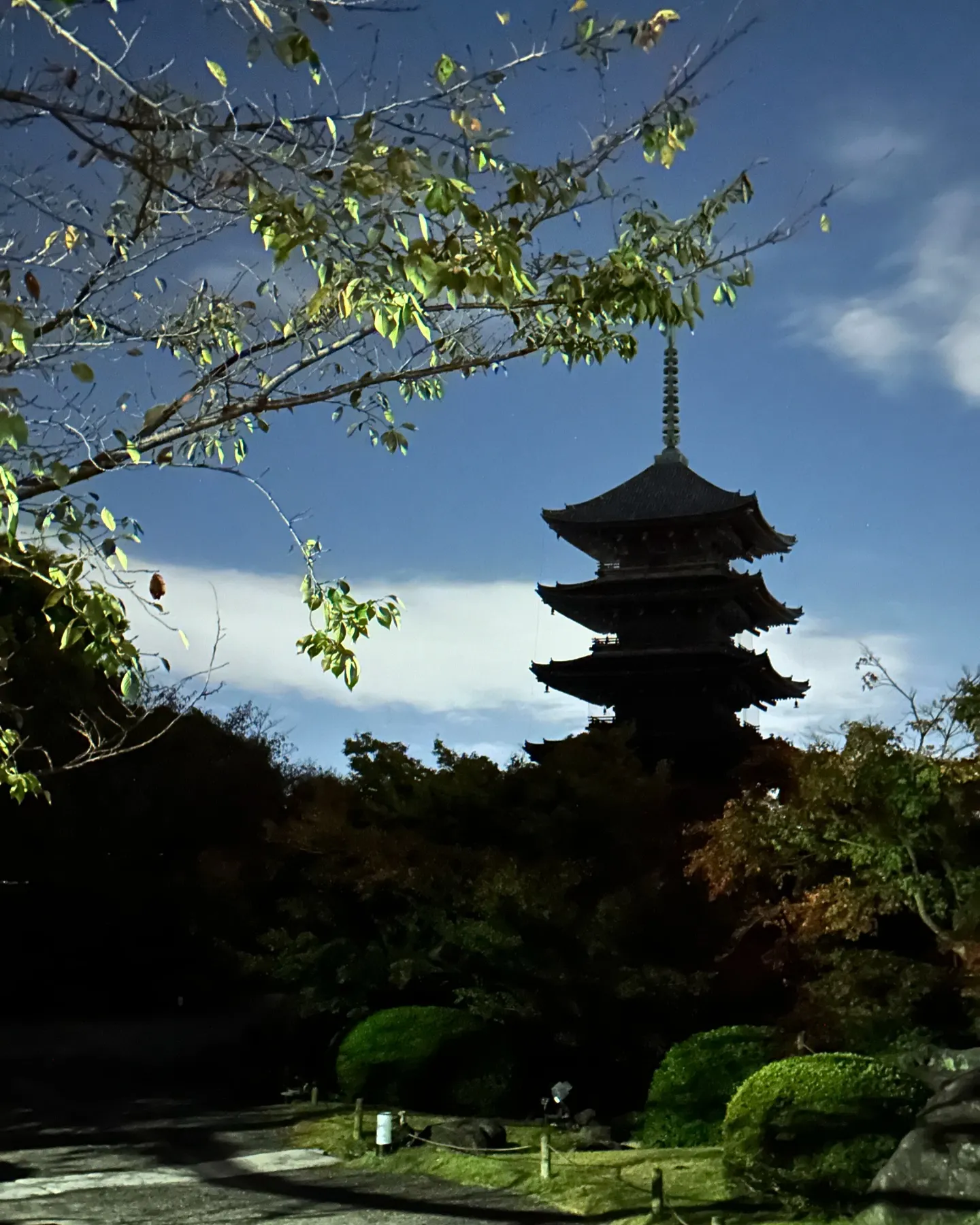 【京都 東寺 弘法市 骨董市】