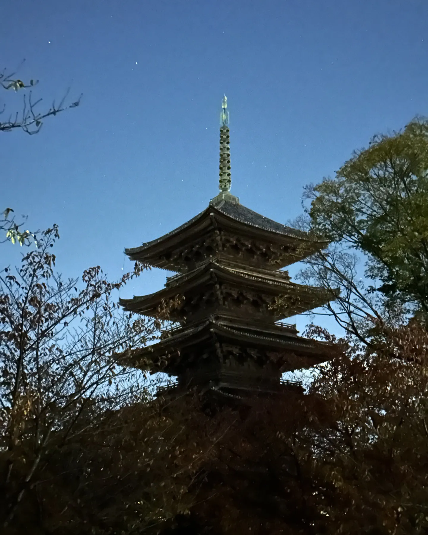 【京都 東寺 弘法市 骨董市】