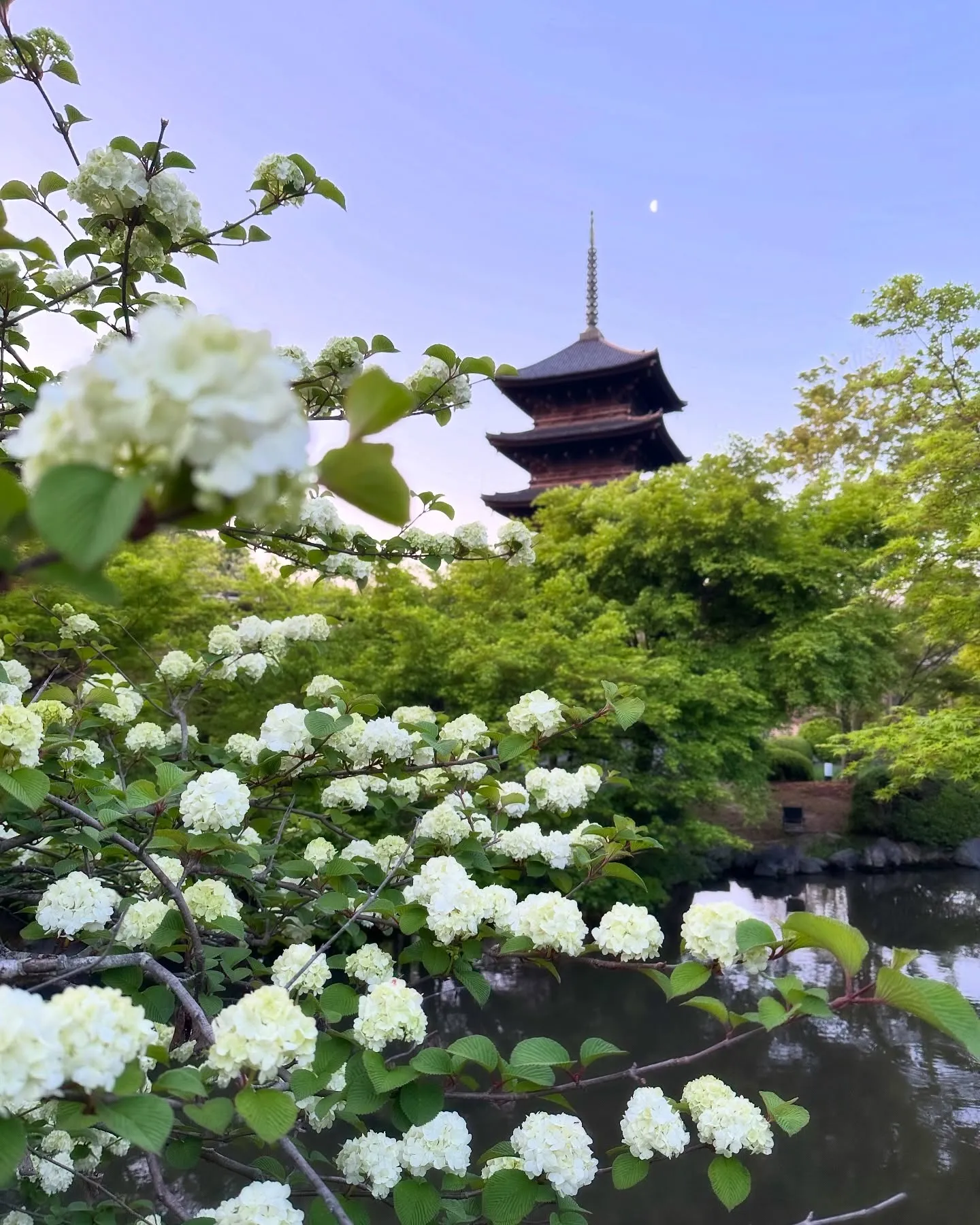 【京都 東寺 弘法市 毎月21日 骨董市】