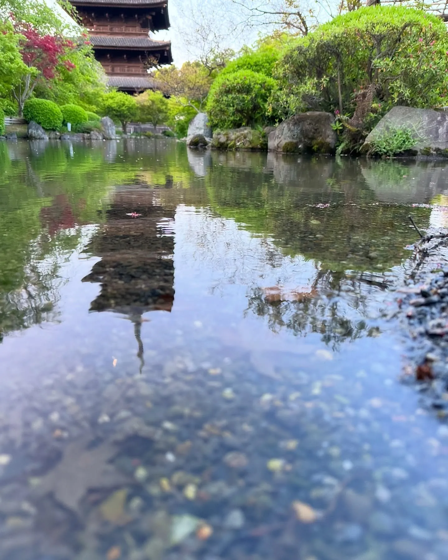 【京都 東寺 弘法市 毎月21日 骨董市】