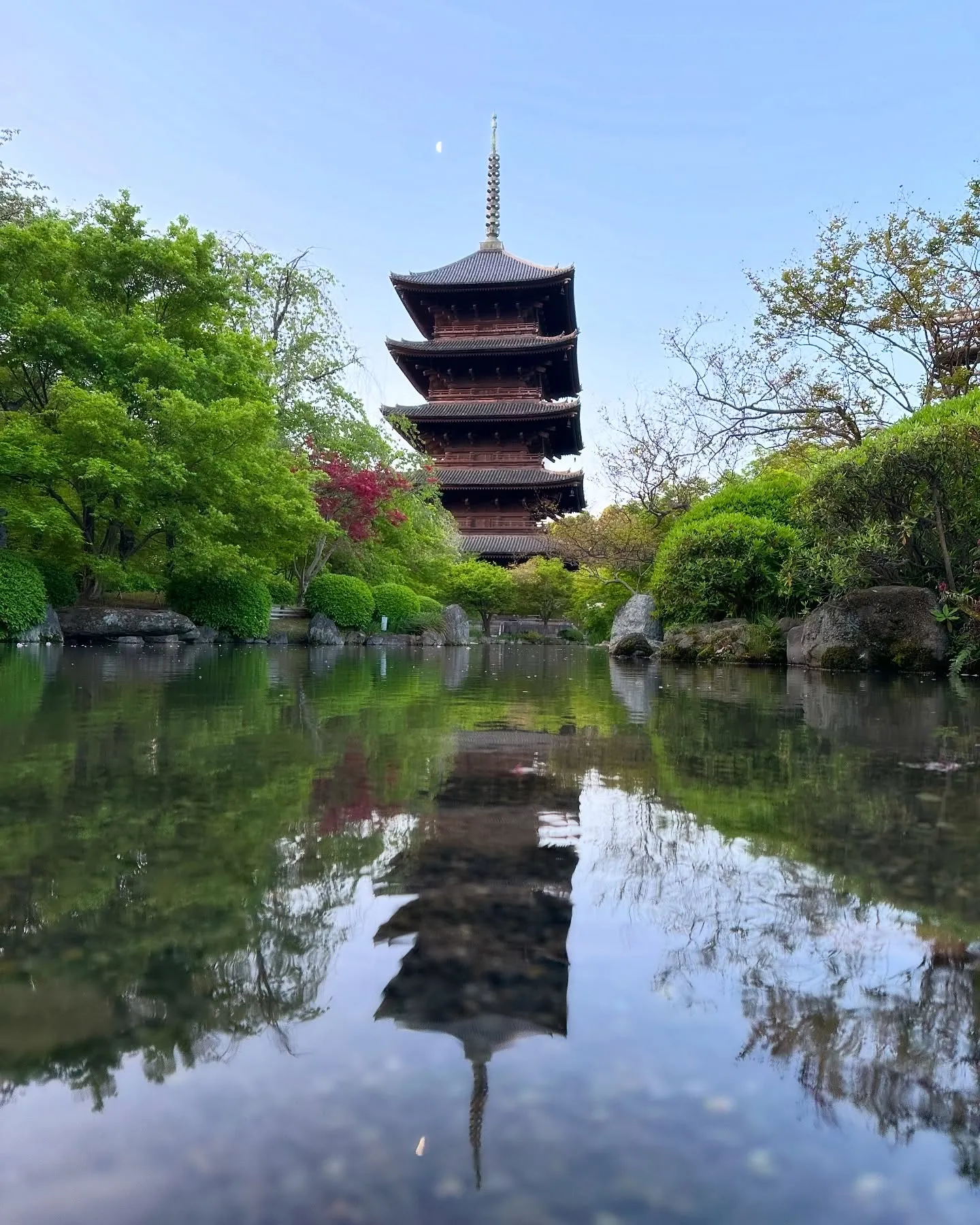 【京都 東寺 弘法市 毎月21日 骨董市】