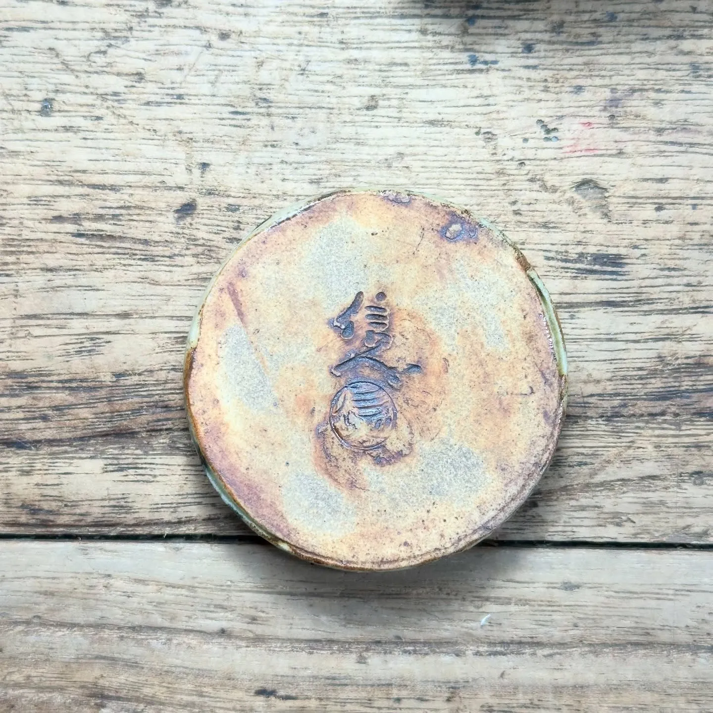 【茶道具 虎 香合 瀬戸焼 加藤進（信入） 在銘 共箱】