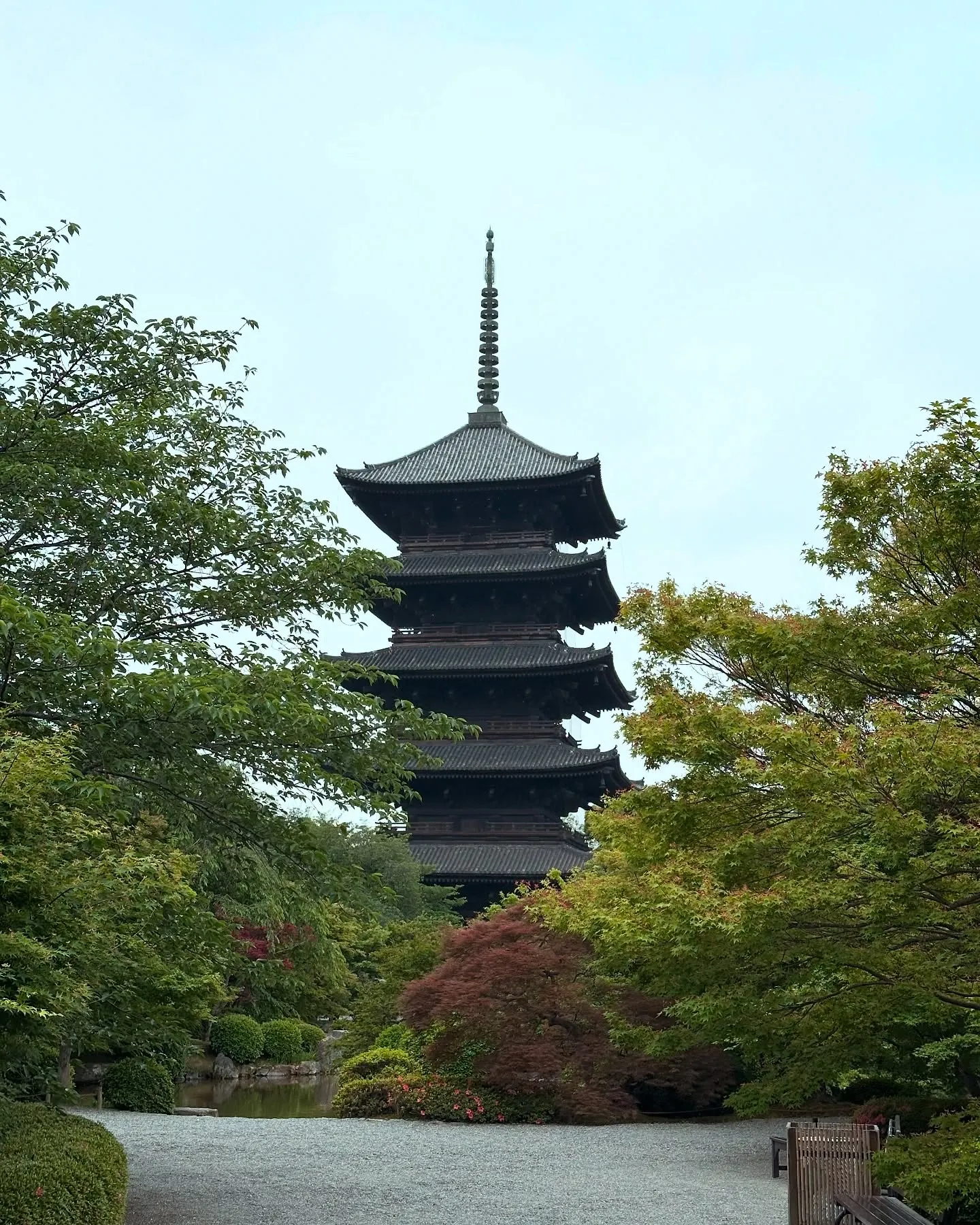 【京都 東寺 弘法市 毎月21日 骨董市】