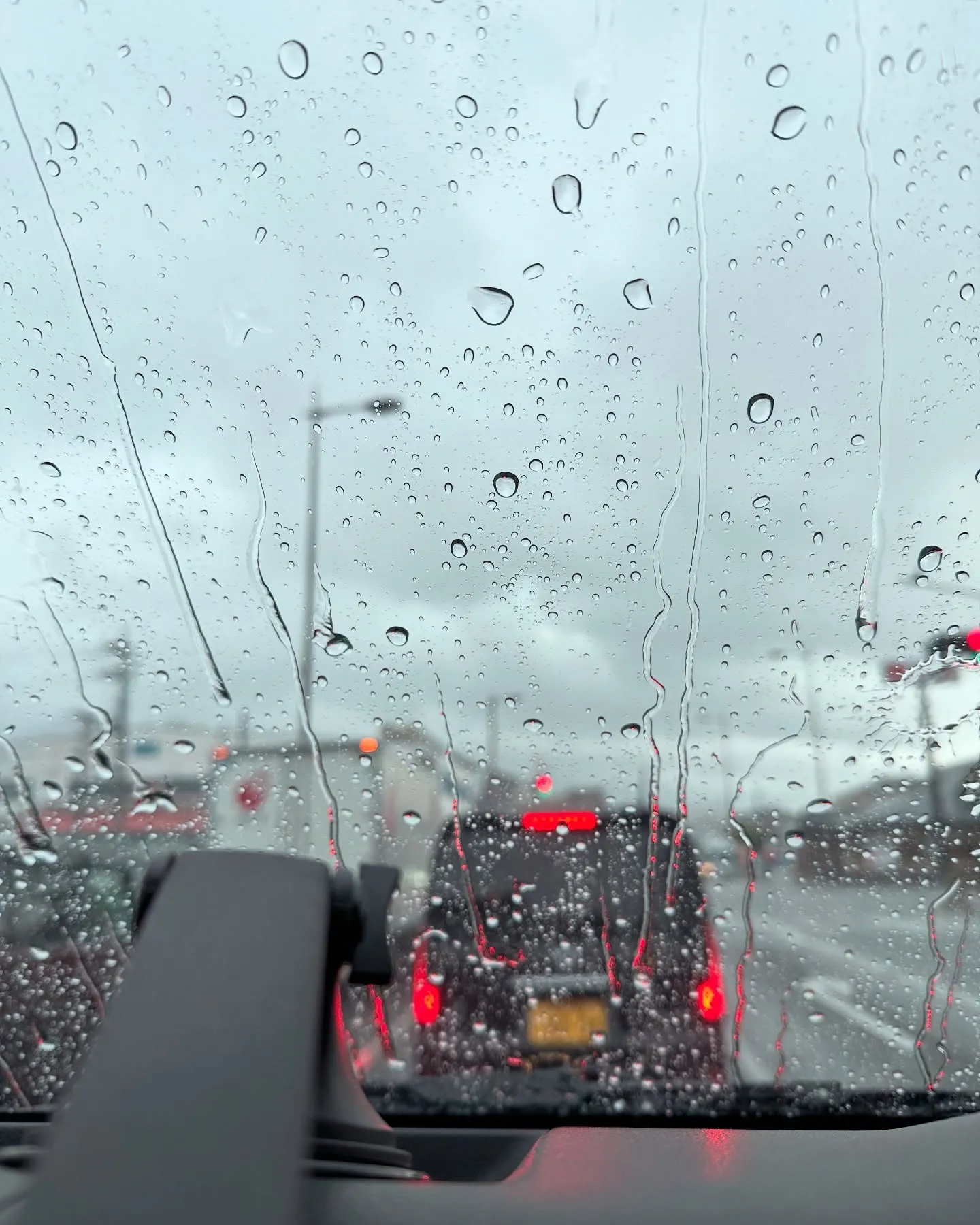 【京都 東寺 弘法市 毎月21日 骨董市】