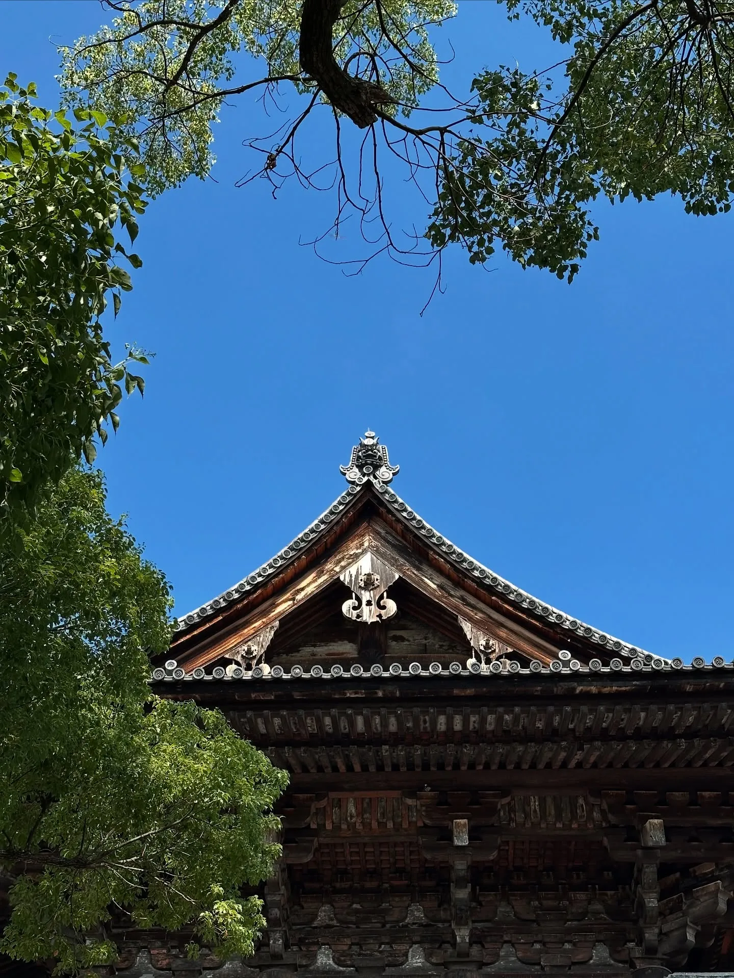【京都 東寺 ガラクタ市 骨董市 古道具】