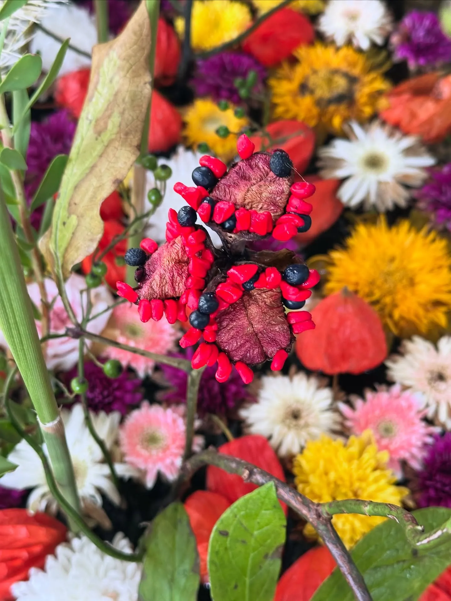 【京都 北野天満宮 天神市 骨董市 毎月25日】