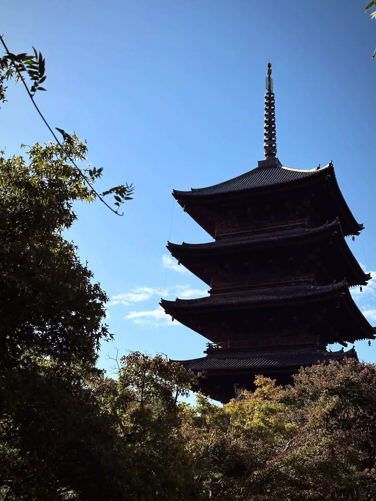 【京都 東寺 弘法市 骨董市 毎月21日】