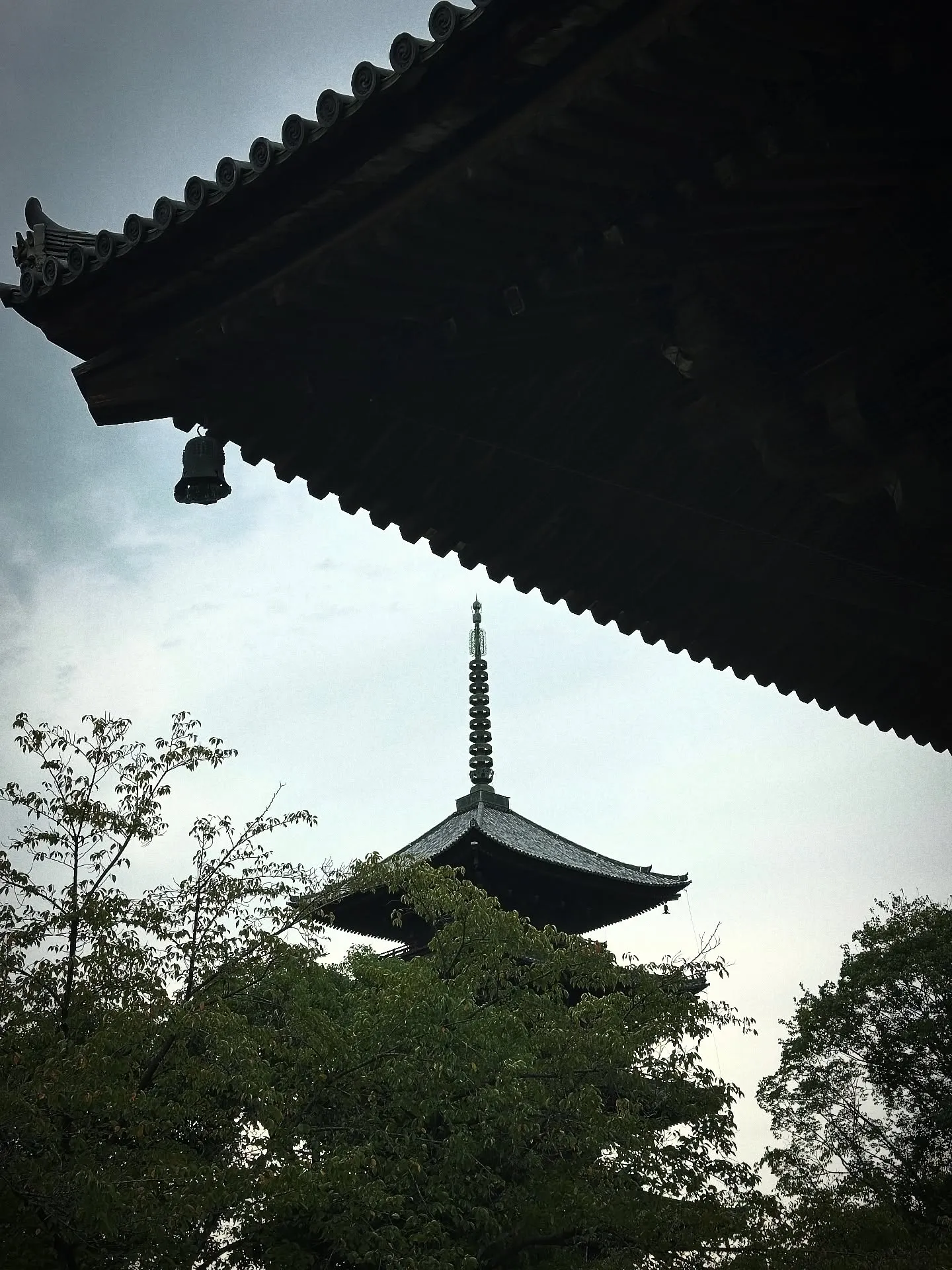 【京都 東寺 弘法市 骨董市 毎月21日開催】