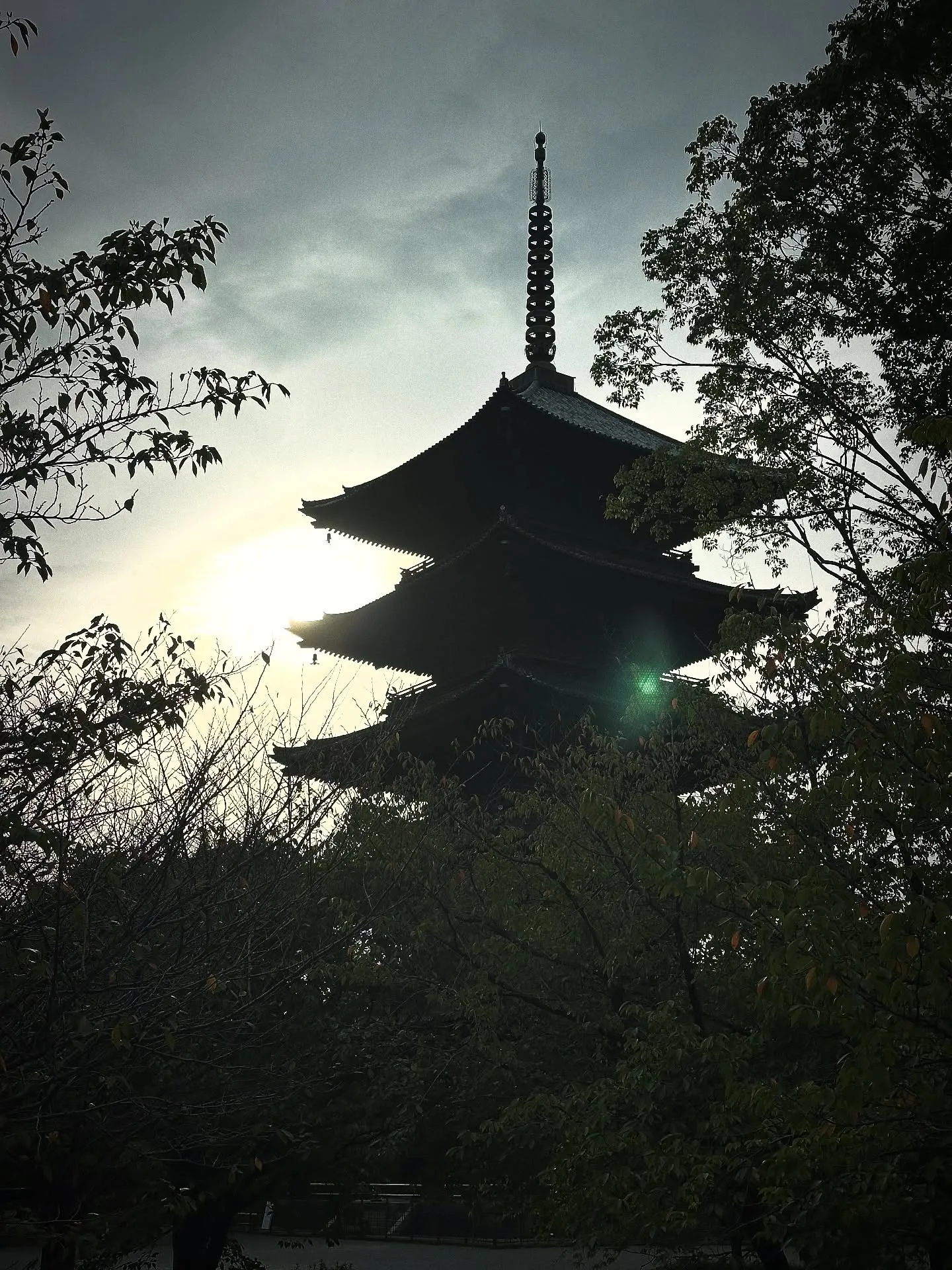 【京都 東寺 弘法市 骨董市 毎月21日開催】