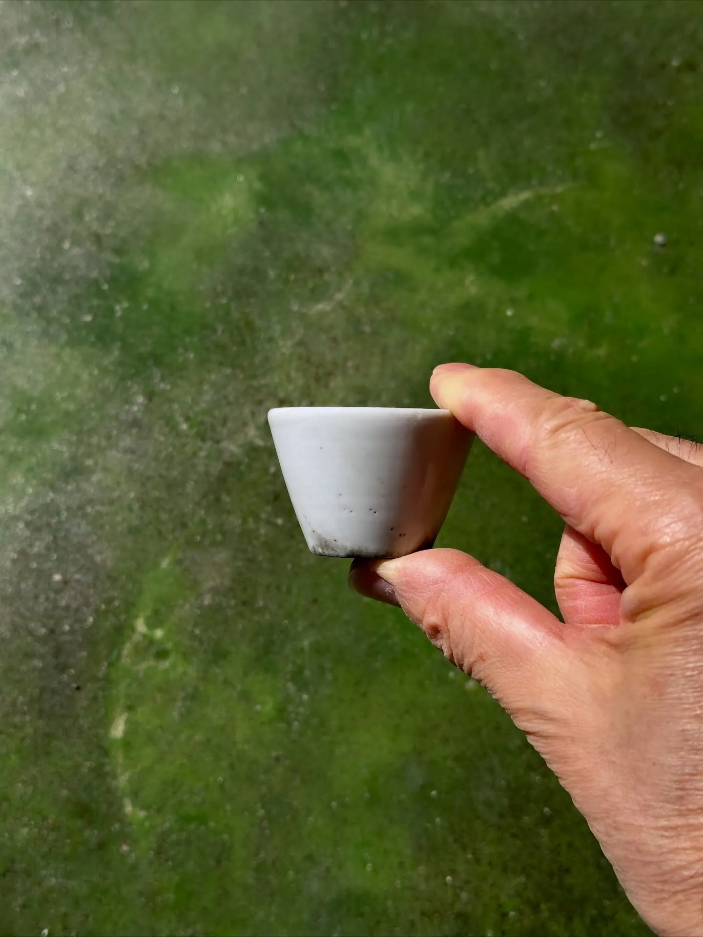 【時代 白磁 湯呑 猪口 豆皿】