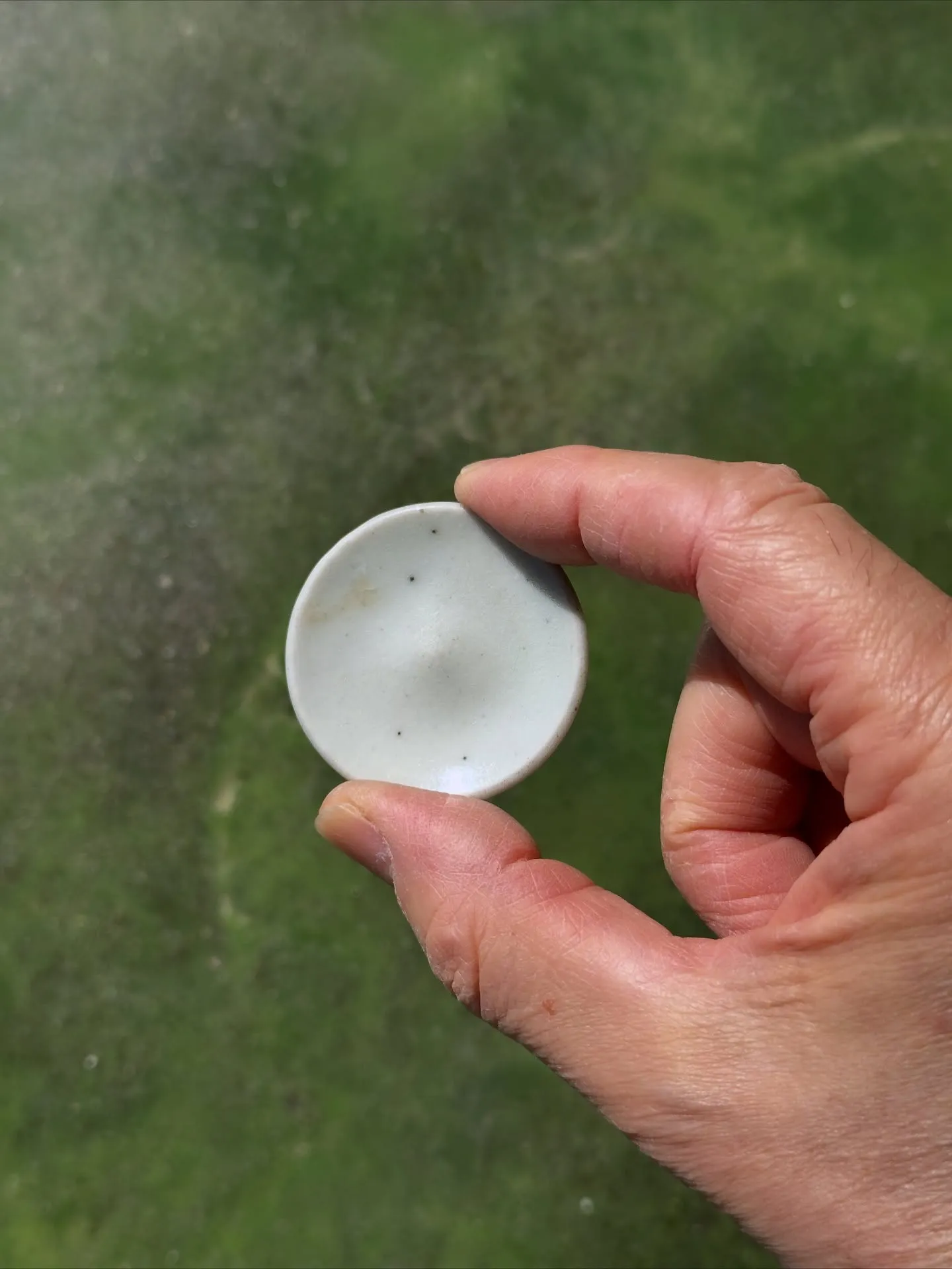 【時代 白磁 湯呑 猪口 豆皿】