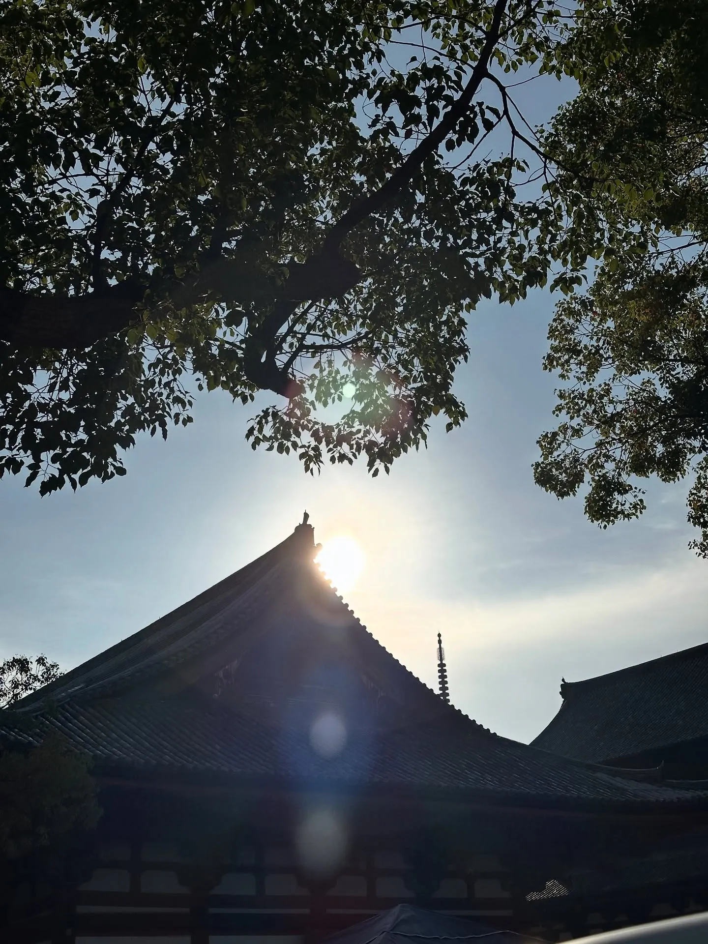 【京都 東寺 ガラクタ市 骨董市 美術品 雑貨】