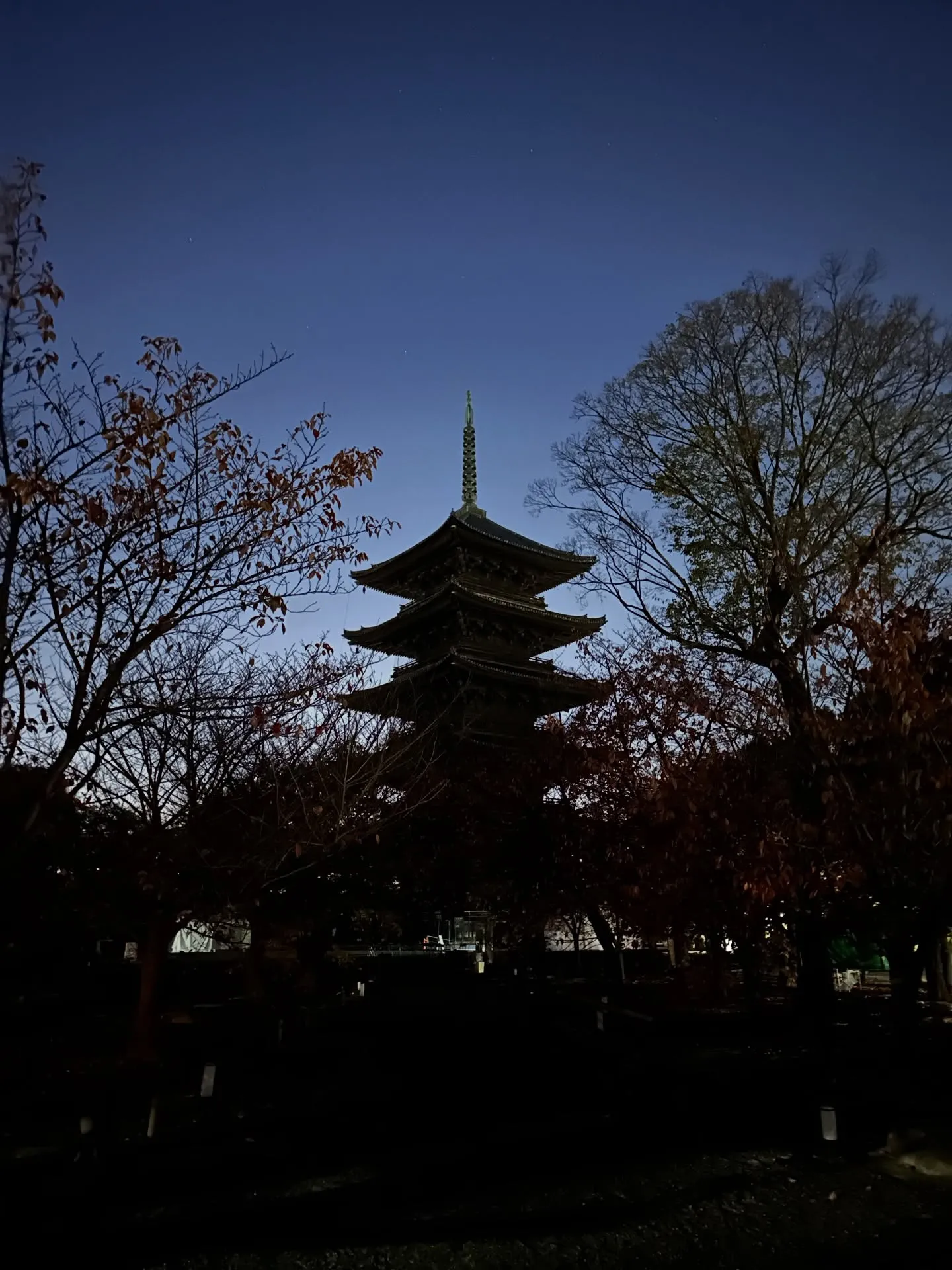【京都 東寺 弘法市 骨董市】