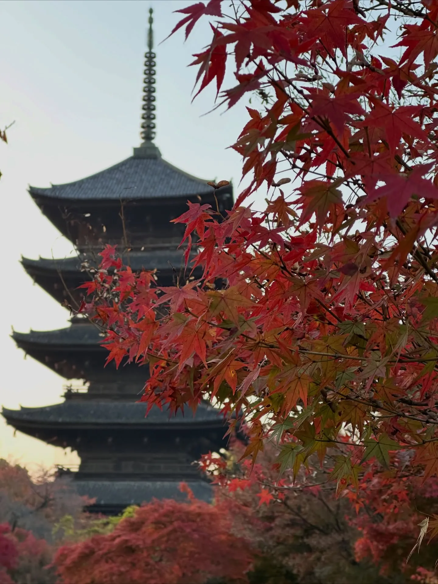 【京都 東寺 弘法市 骨董市】