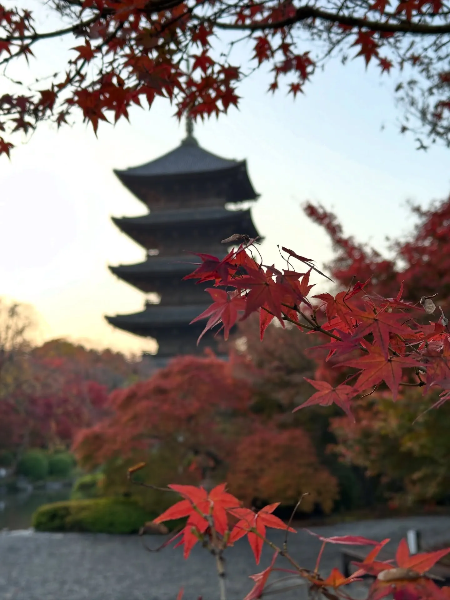 【京都 東寺 弘法市 骨董市】