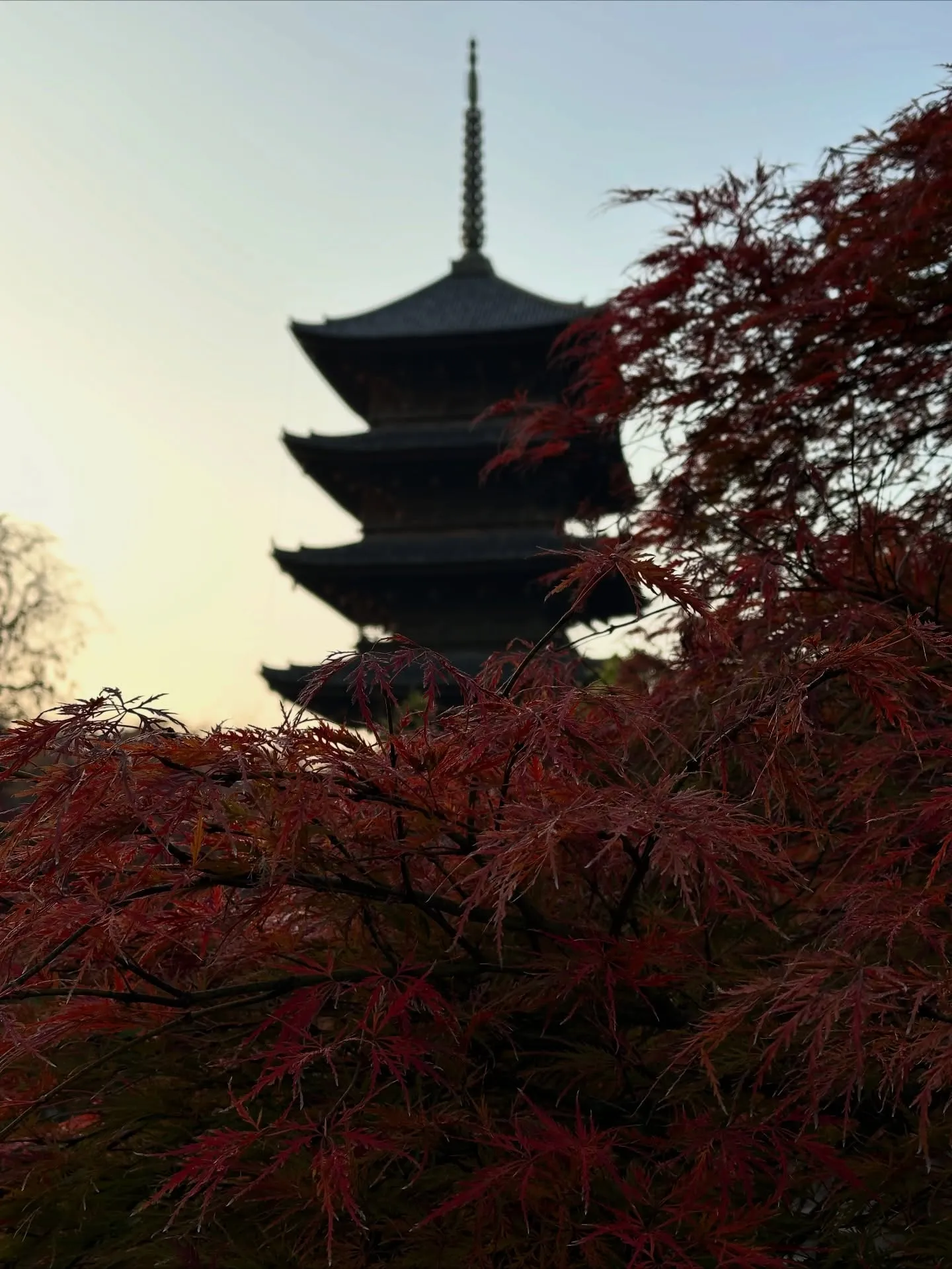 【京都 東寺 弘法市 骨董市】