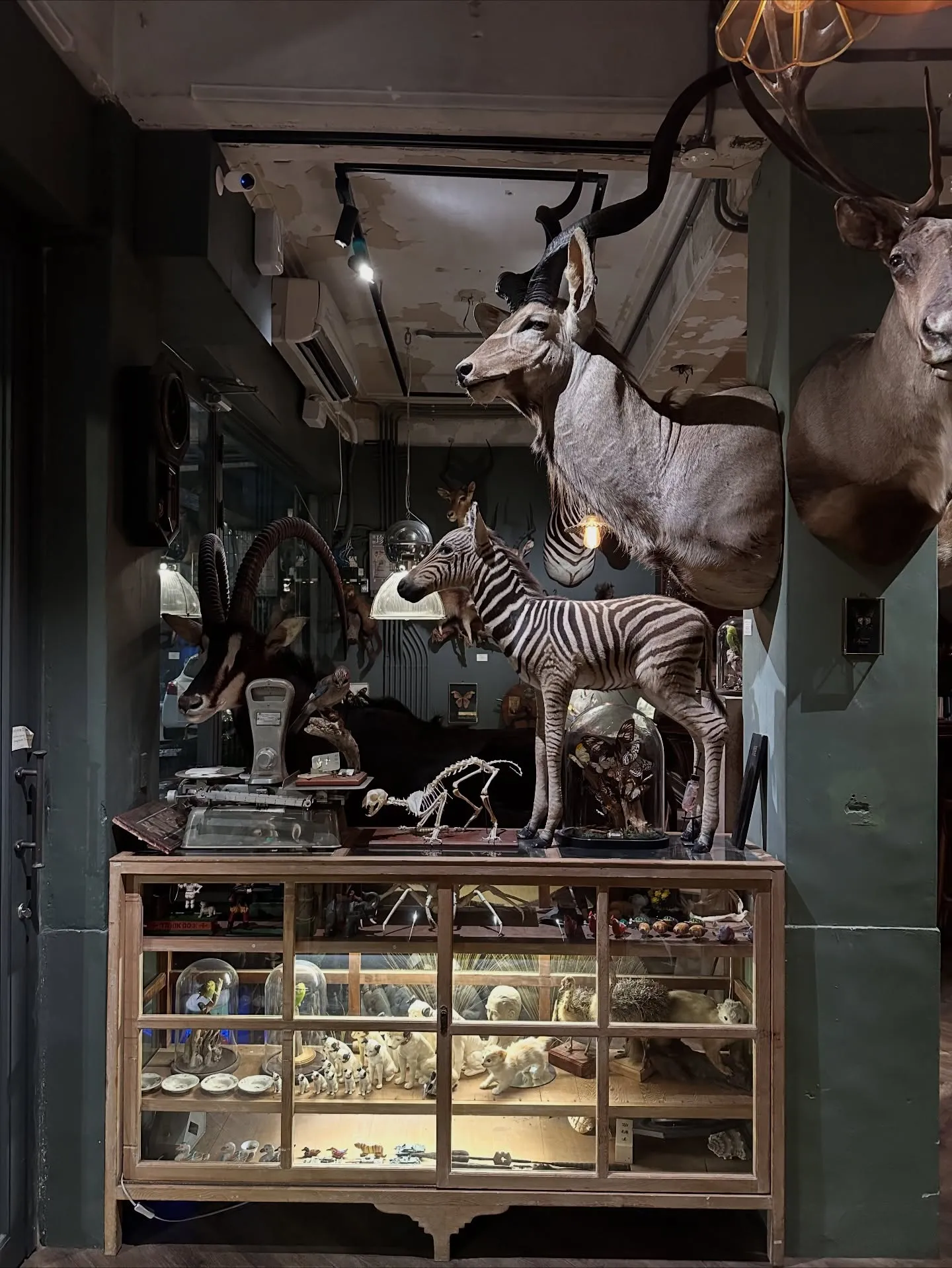 台湾旅行2日目に立ち寄った、友達のお店。