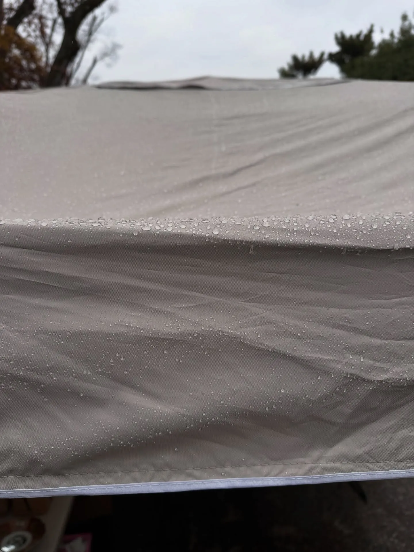 【京都 北野天満宮 天神市 骨董市 毎月25日開催】