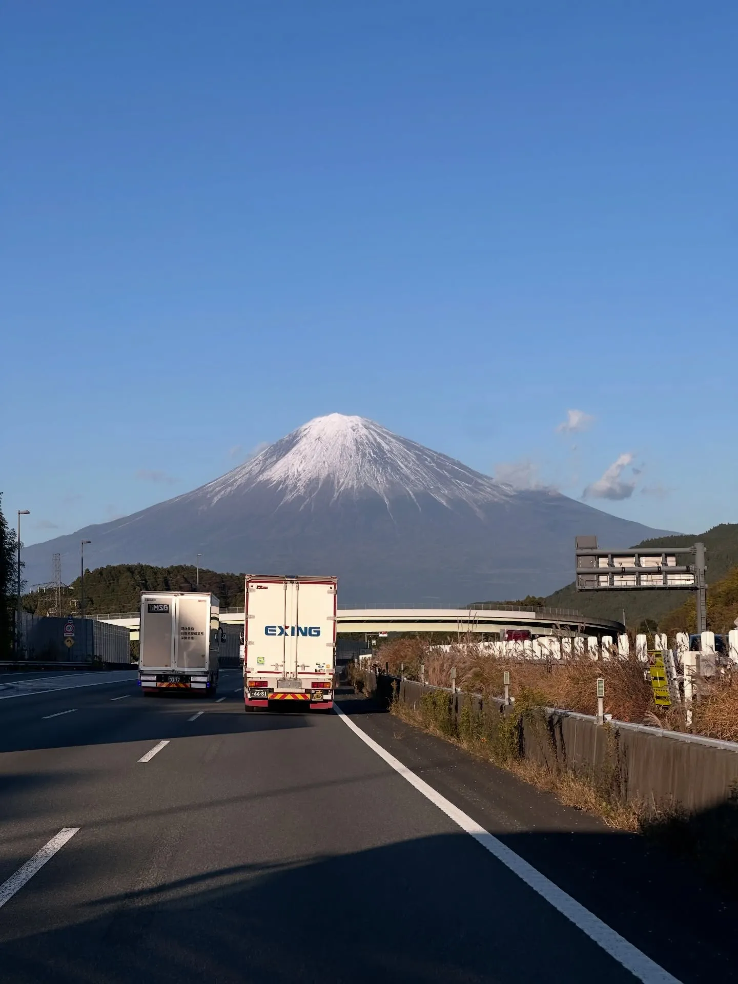現在、横浜でオークションのお手伝いをしています。