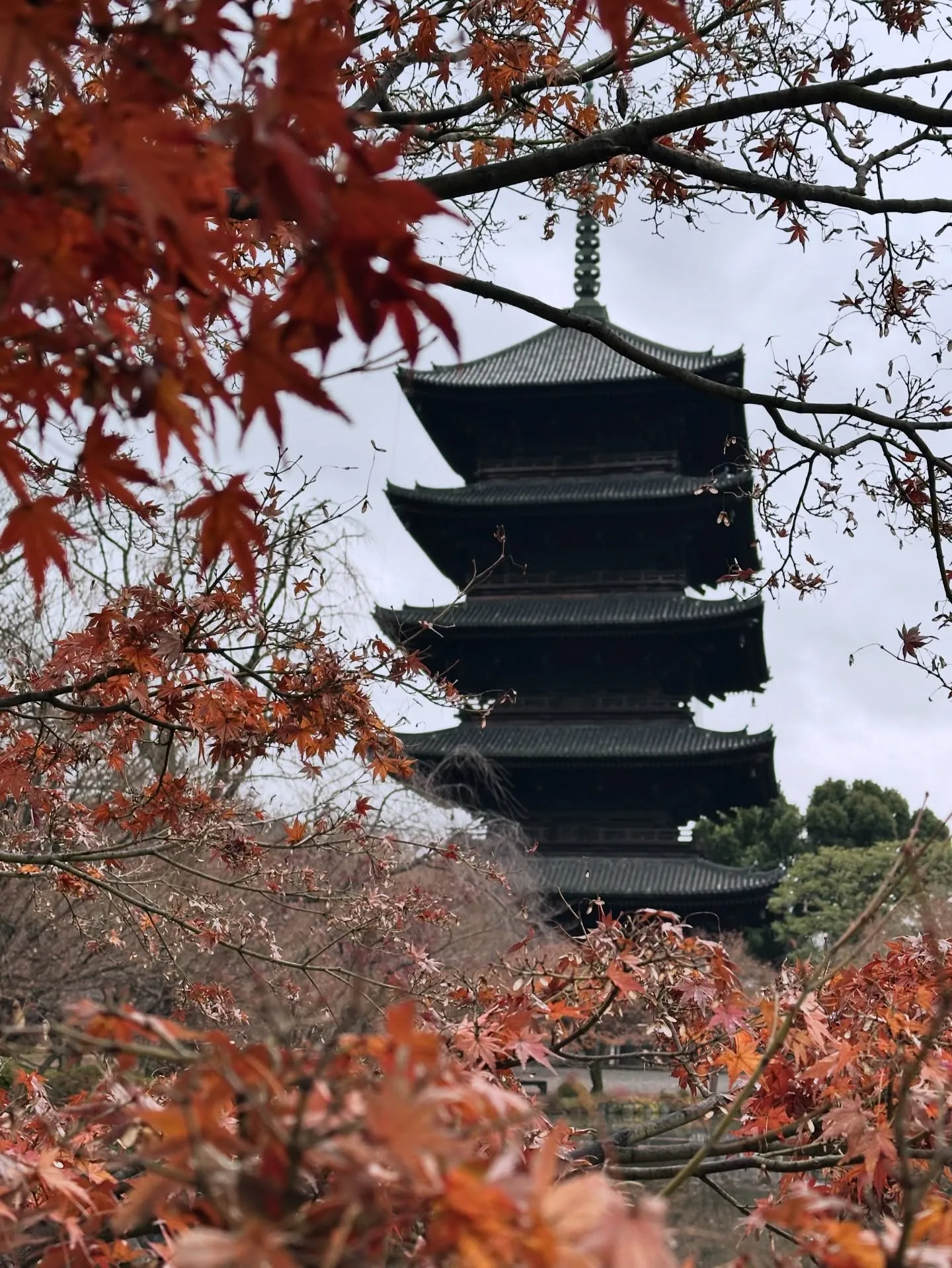 【京都 東寺 弘法市 毎月21日 終い弘法 骨董市】
