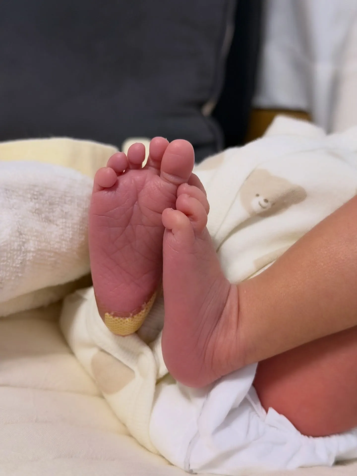 🎍2026年 元日🎍