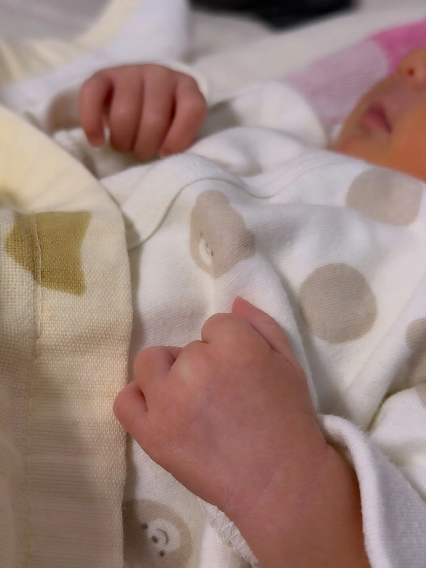 🎍2026年 元日🎍