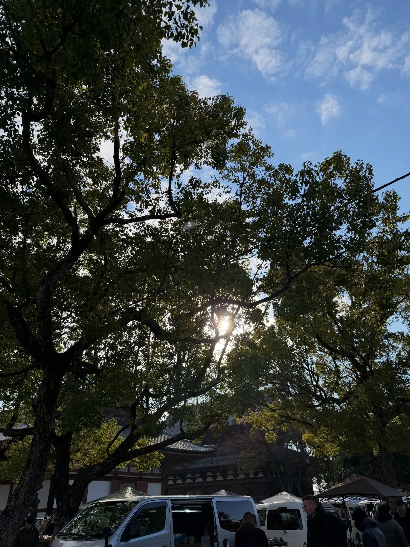 【京都 東寺 ガラクタ市 初荷 仕事初め 骨董市】