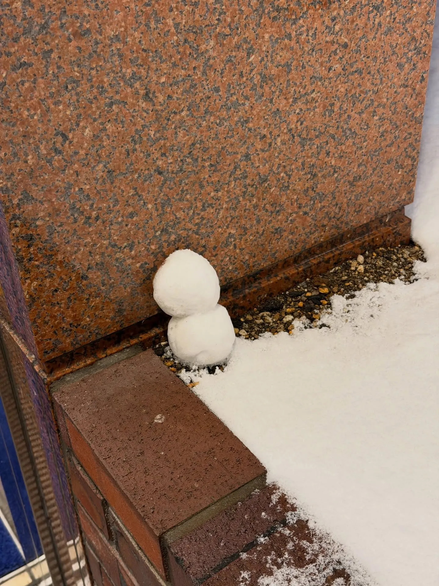 山陰地方に寒波襲来って事でしたので、前乗りして業者市場に行っ...