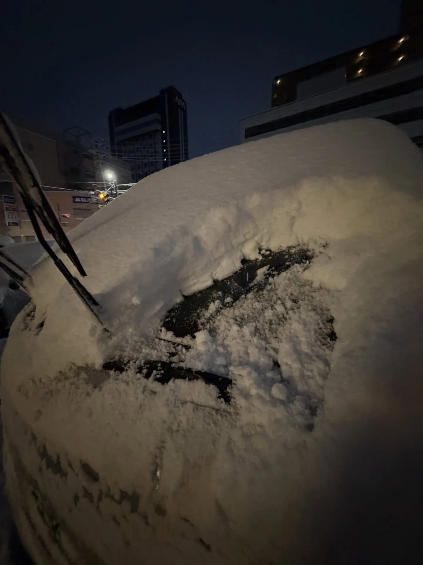 山陰地方に寒波襲来って事でしたので、前乗りして業者市場に行っ...