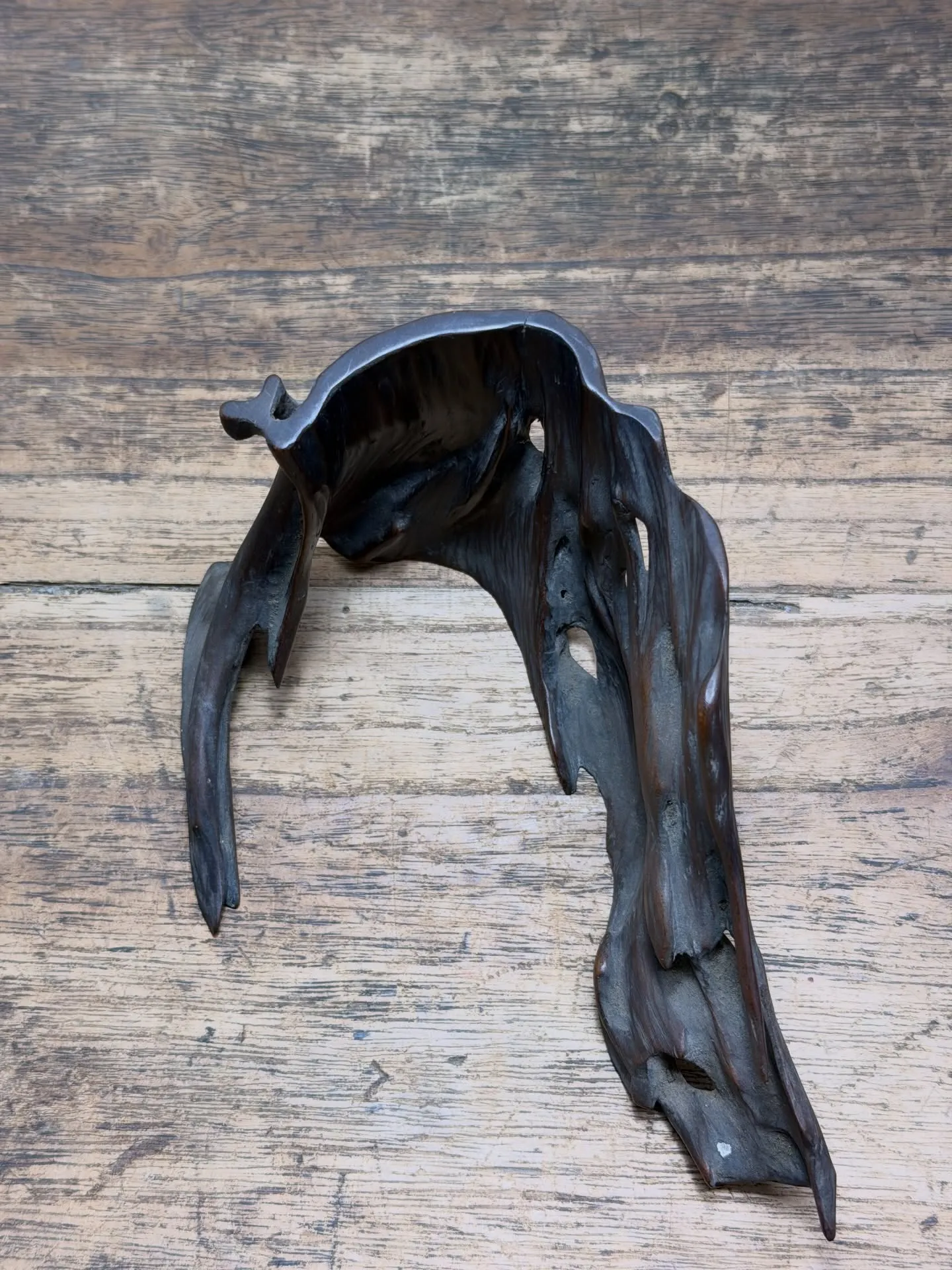 今日は、新年の挨拶もかねて、地元の業者市場に行ってます。