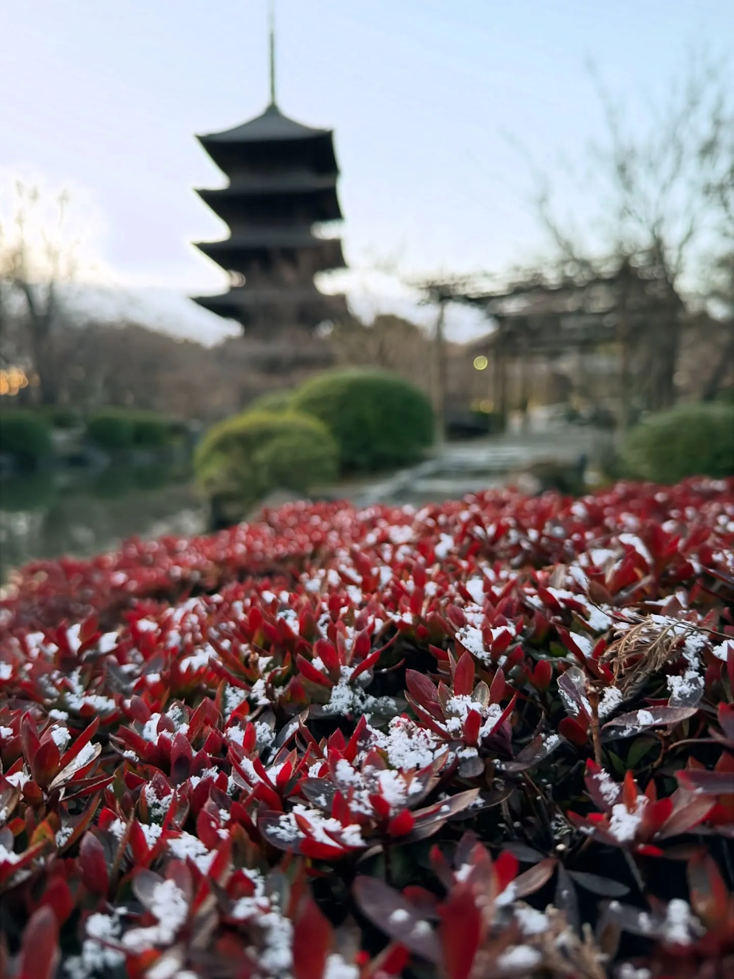 【京都 東寺 弘法市 毎月21日 骨董市】