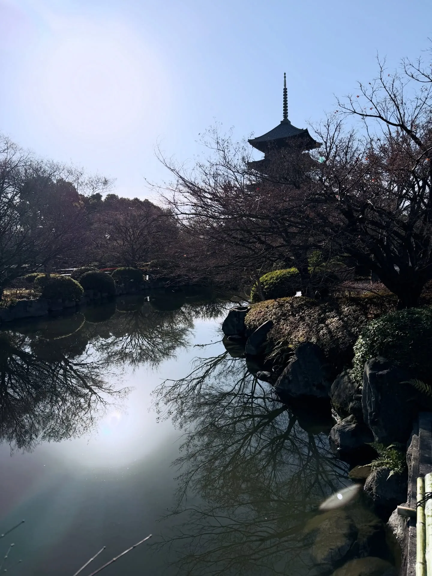 【京都 東寺 弘法市 毎月21日 骨董市】