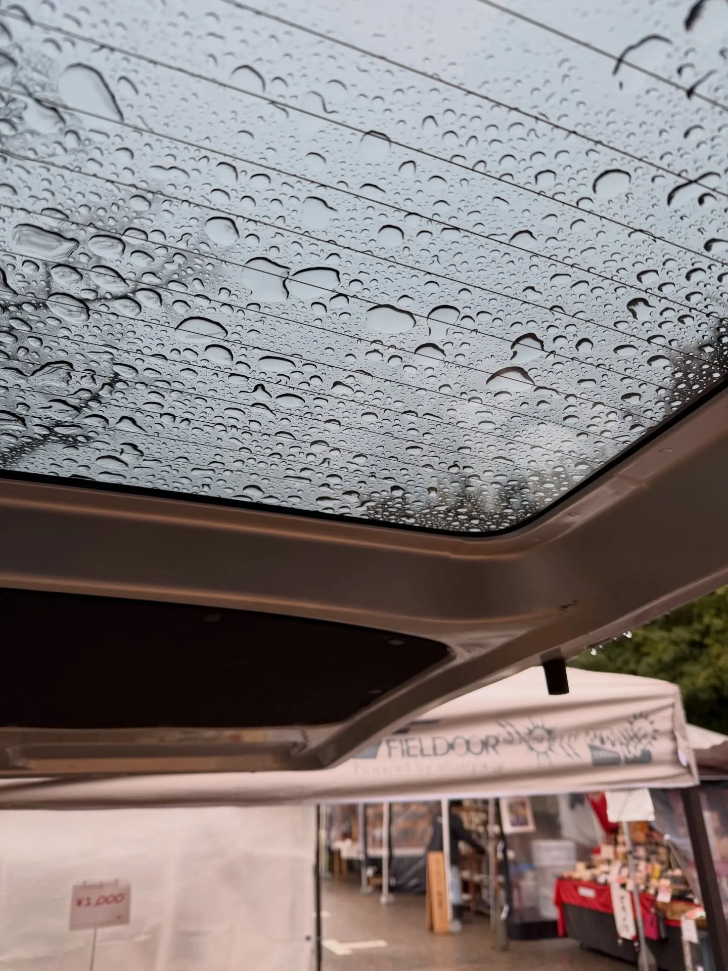 【京都 北野天満宮 天神市 毎月25日 骨董市】