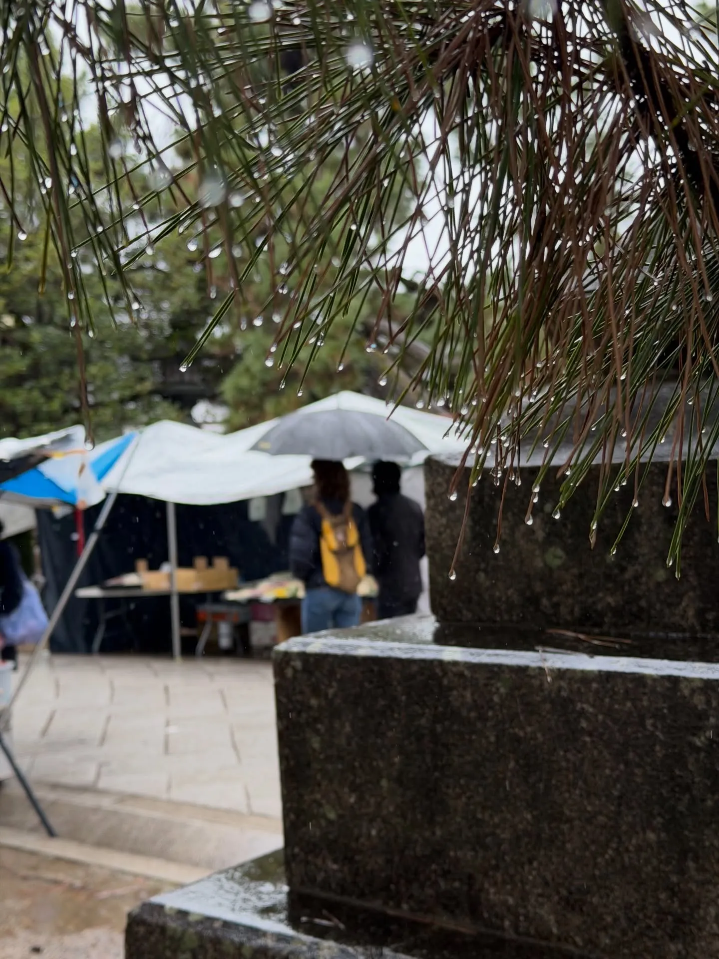 【京都 北野天満宮 天神市 毎月25日 骨董市】