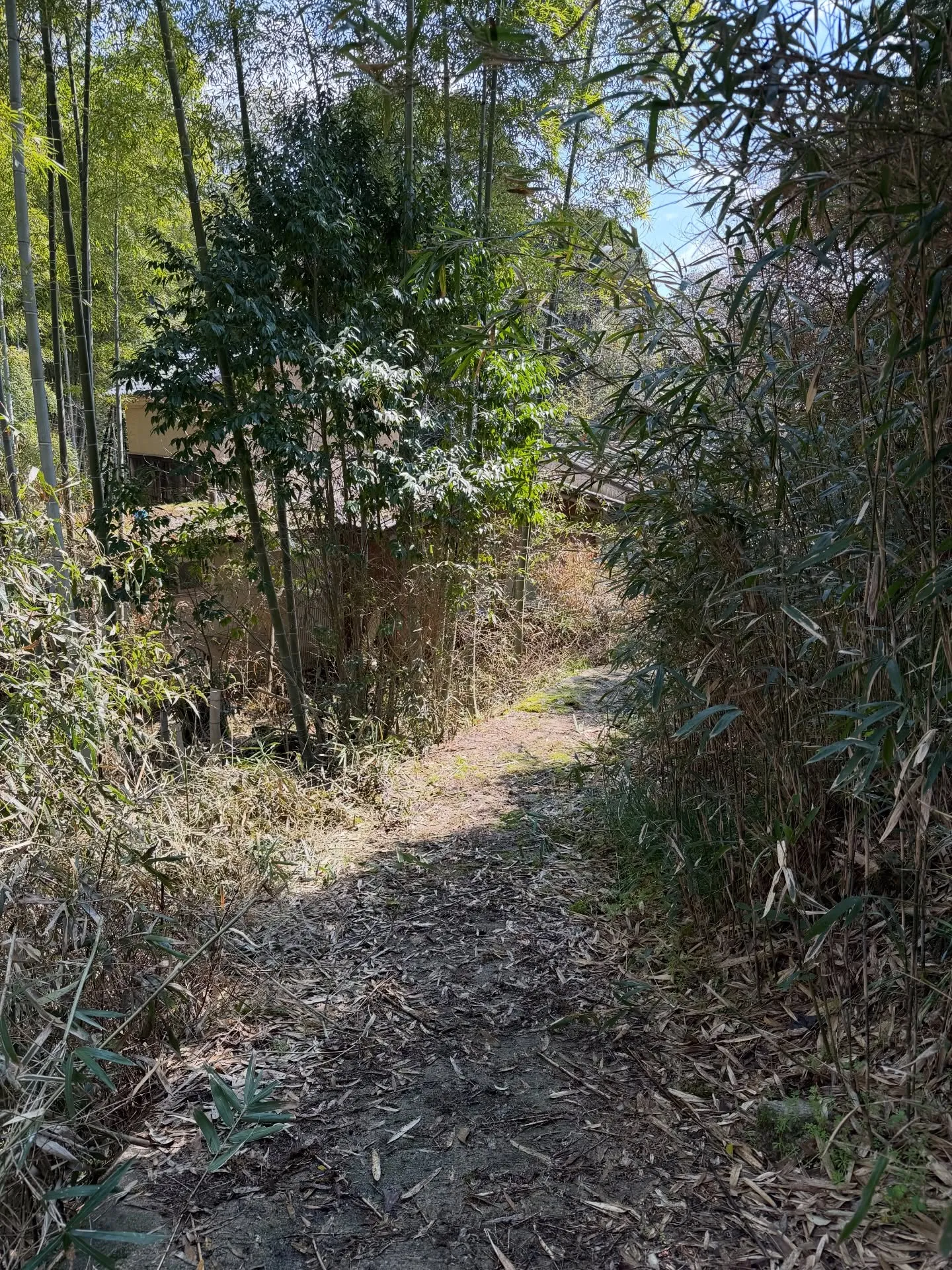 【京都府 遺品整理 不用品 買取 蔵】