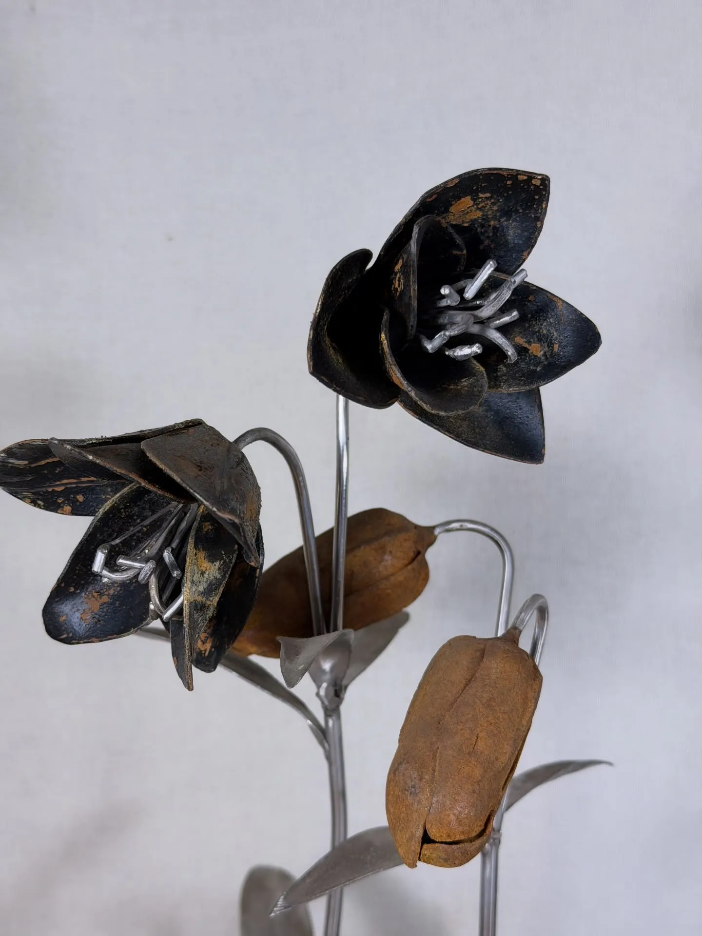 本日は、山陰の業者市場に行ってますので、終日不在となります🙇...