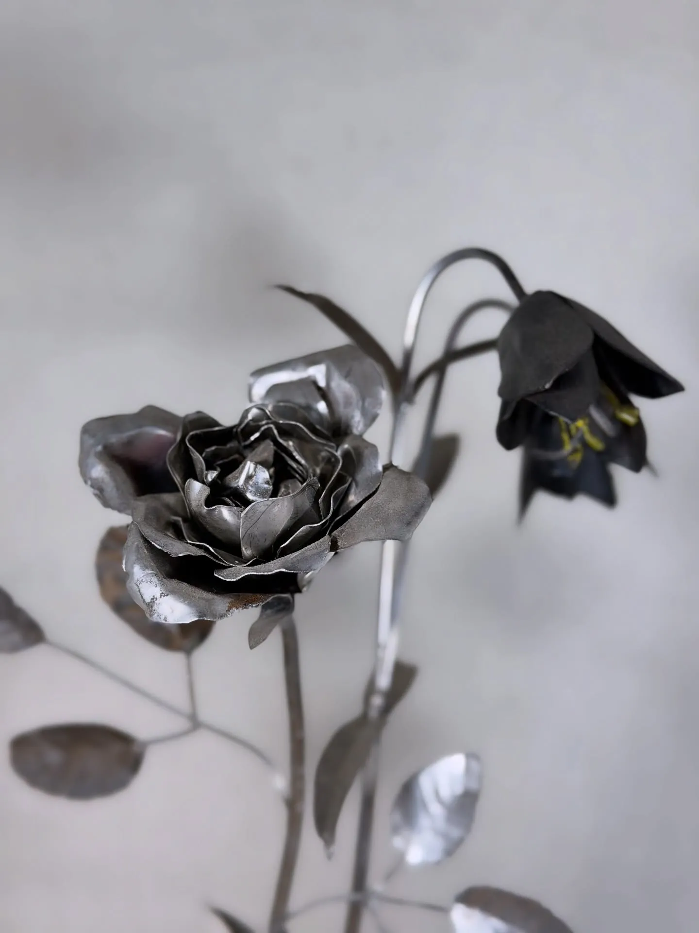 本日は、山陰の業者市場に行ってますので、終日不在となります🙇...