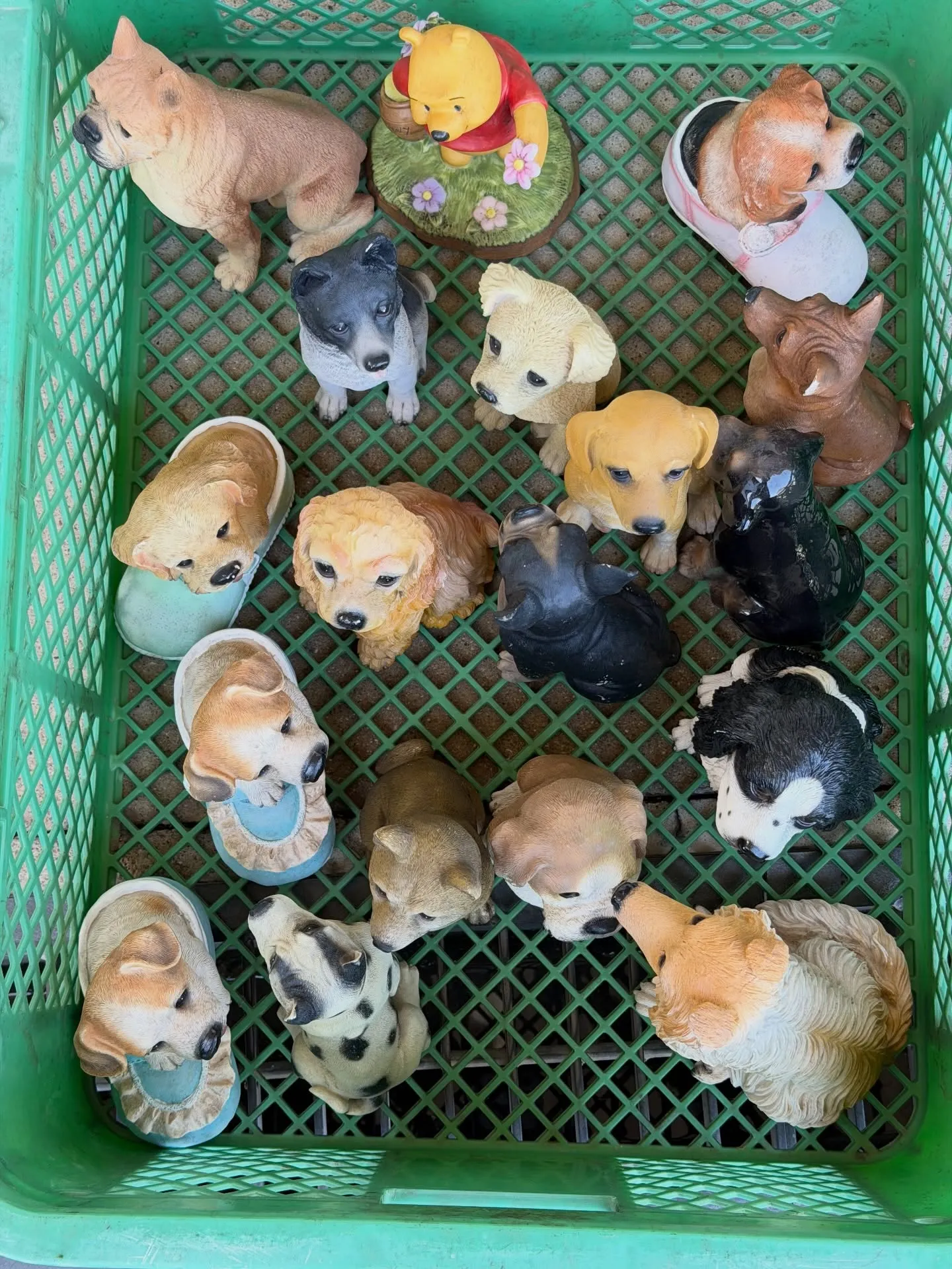 本日は、稲美町の業者市場に行ってます。