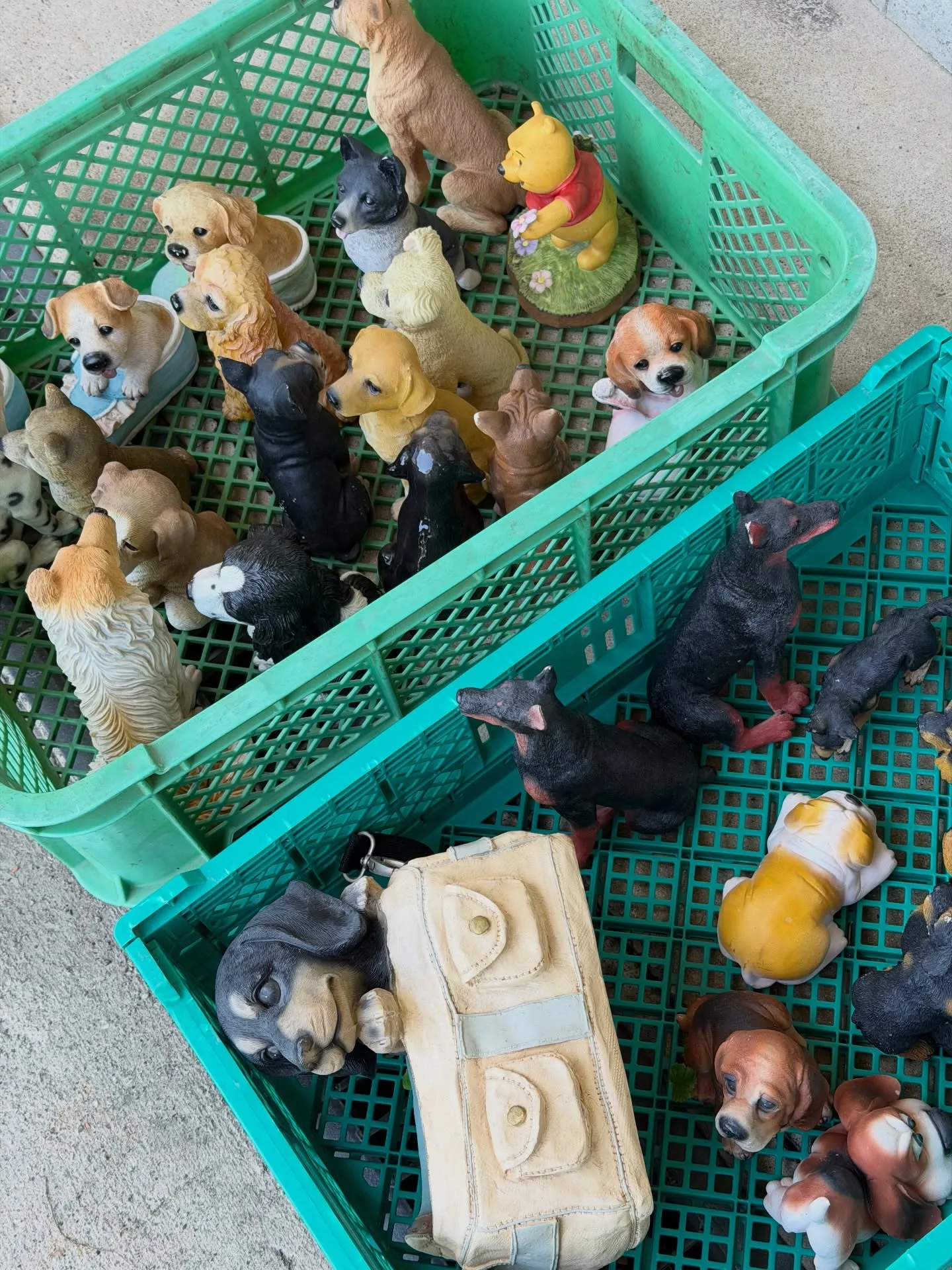 本日は、稲美町の業者市場に行ってます。