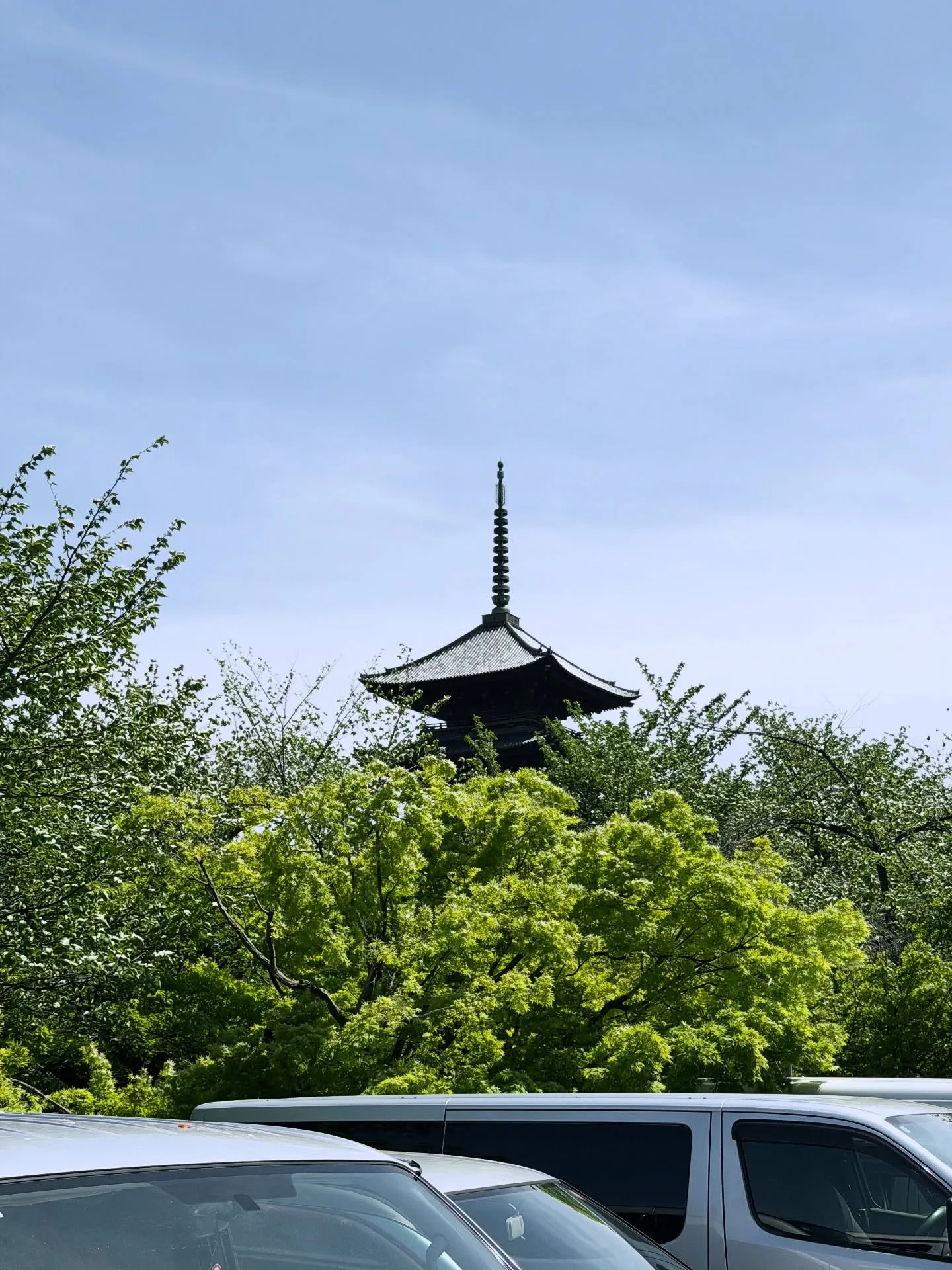 【京都 東寺 弘法市 毎月21日 骨董市】