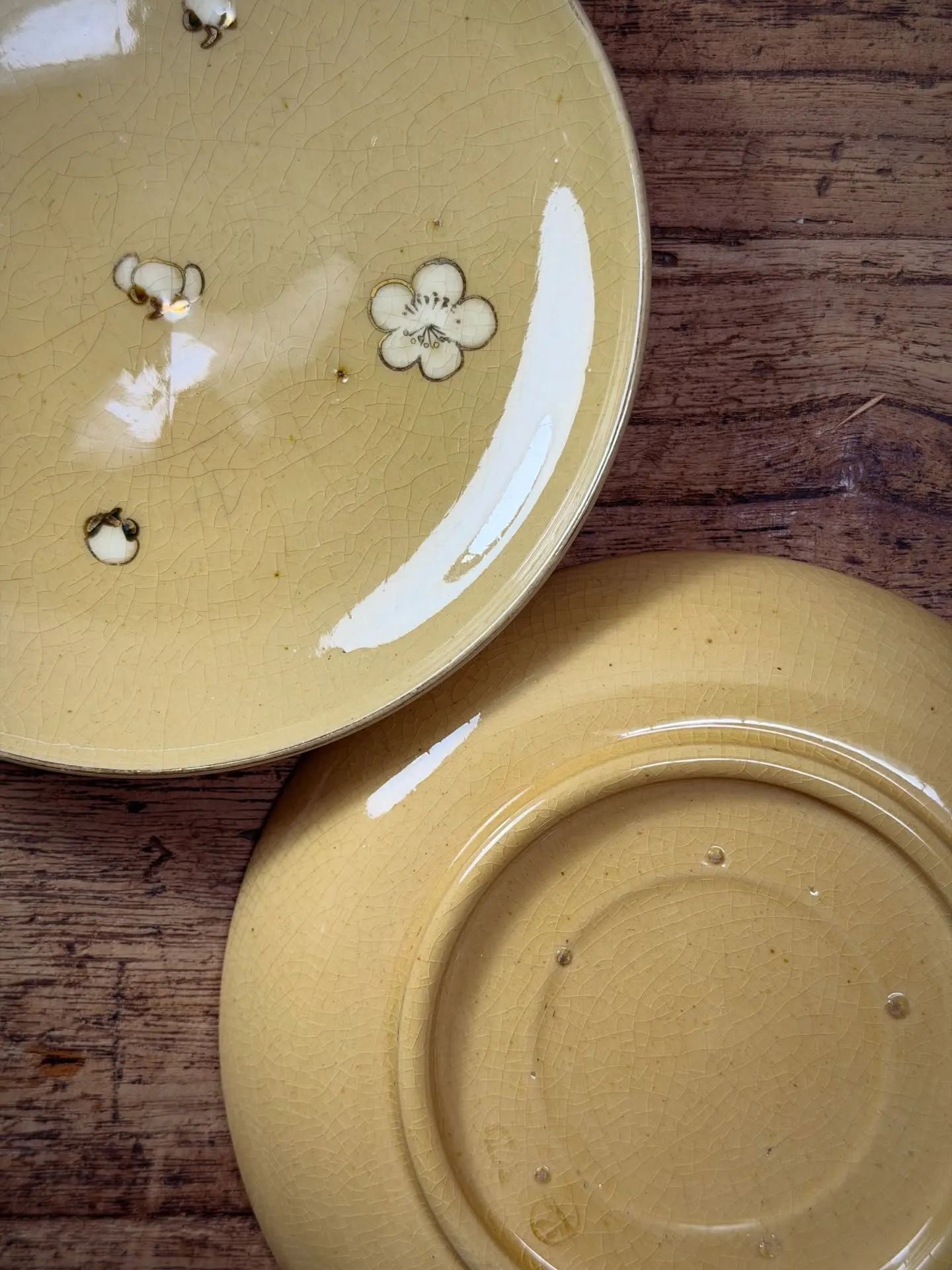 【布志名焼 散梅花絵 中皿 島根県 民芸】